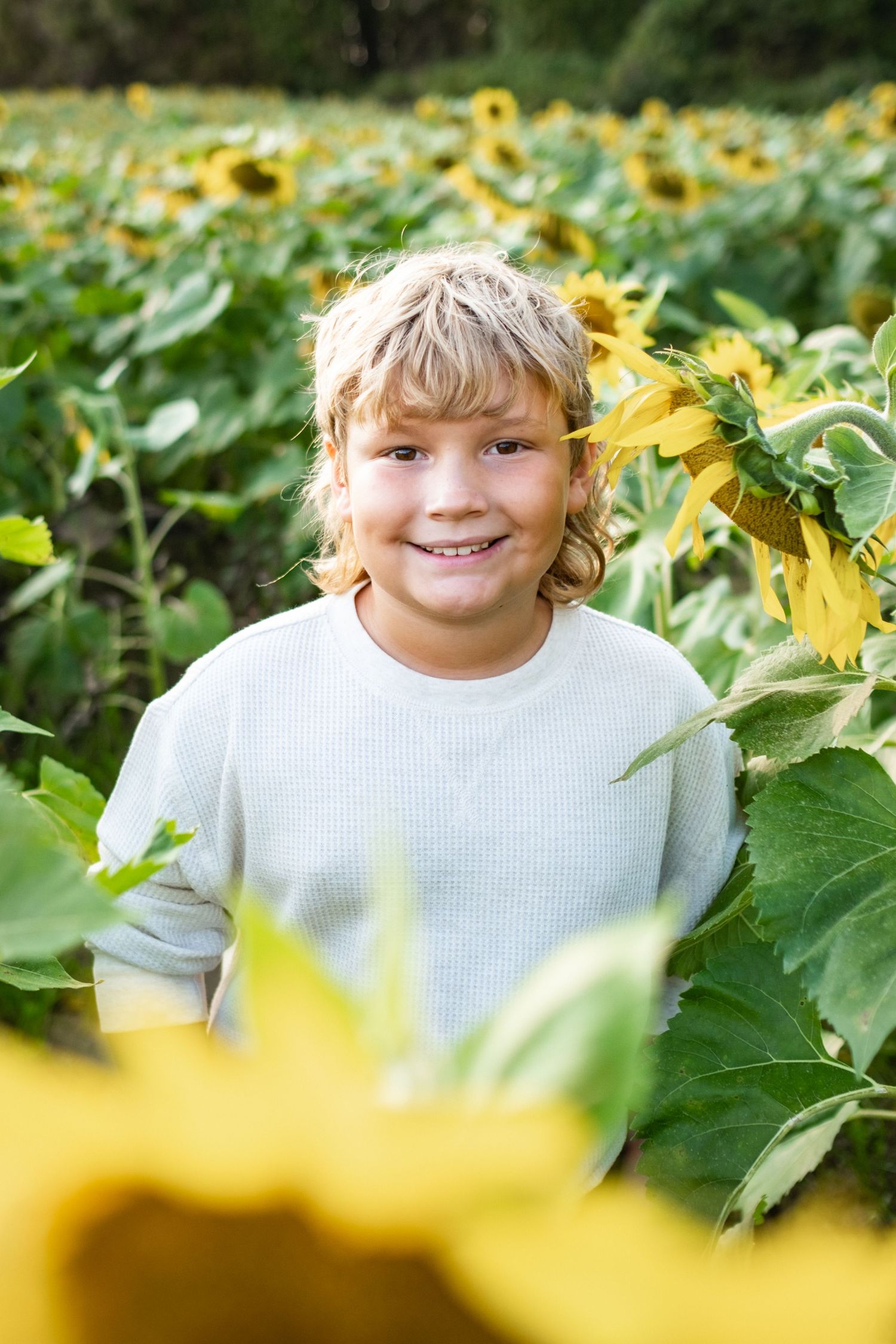 Smiling blond boy standing among tall sunflowers in a sunny field, wearing a light blue sweater.