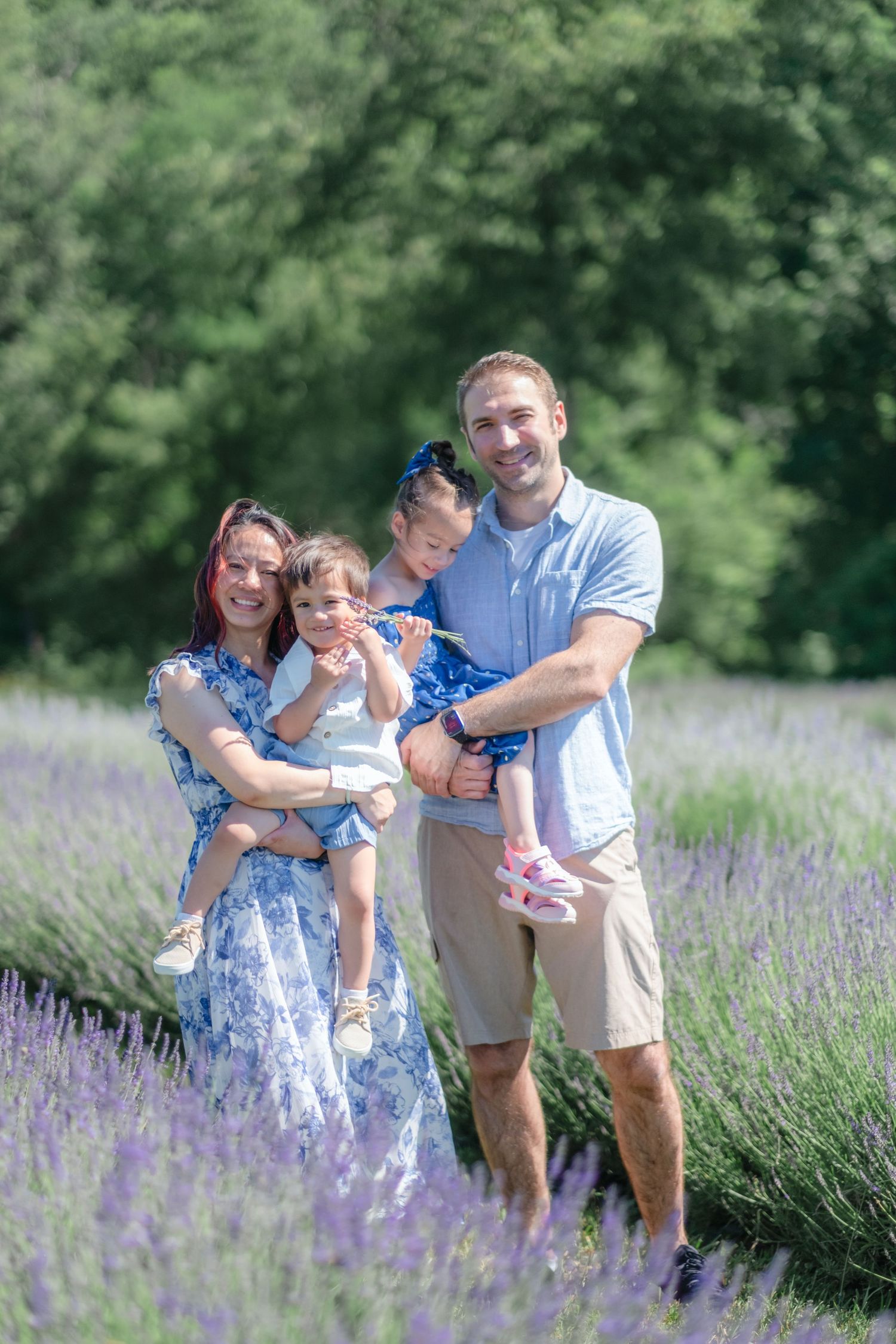 Family of four posing in a lavender field, parents holding two young children, wearing blue outfits on a sunny day.