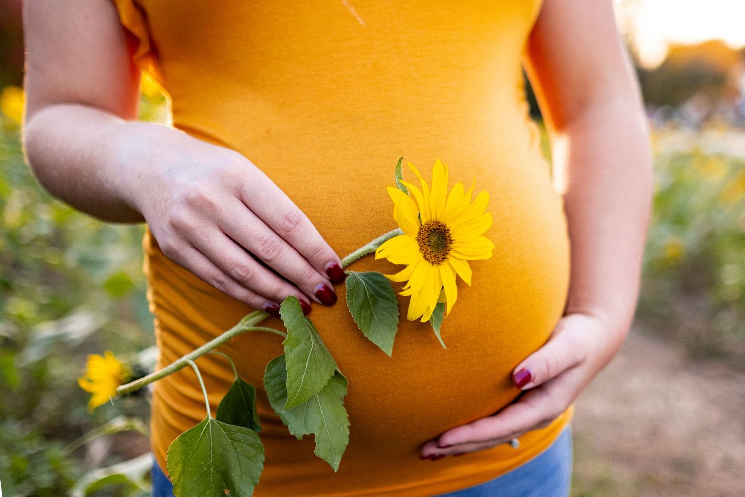 Pregnant woman in orange shirt holding a yellow sunflower against her baby bump in a sunflower field.