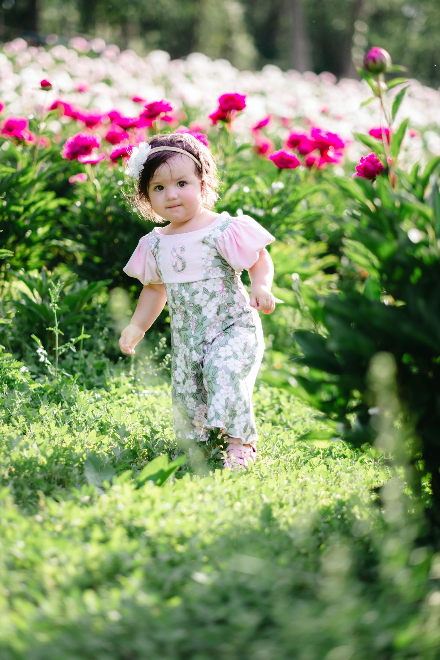 Toddler girl in floral overalls and pink top walks through a vibrant peony garden in bloom.