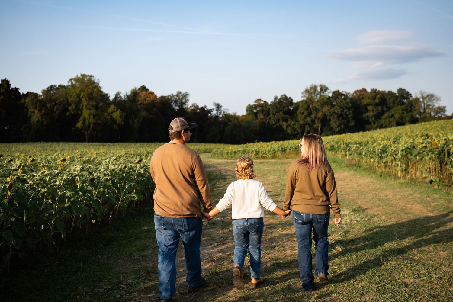 Family of three holding hands walking toward a sunflower field at golden hour on a sunny day.