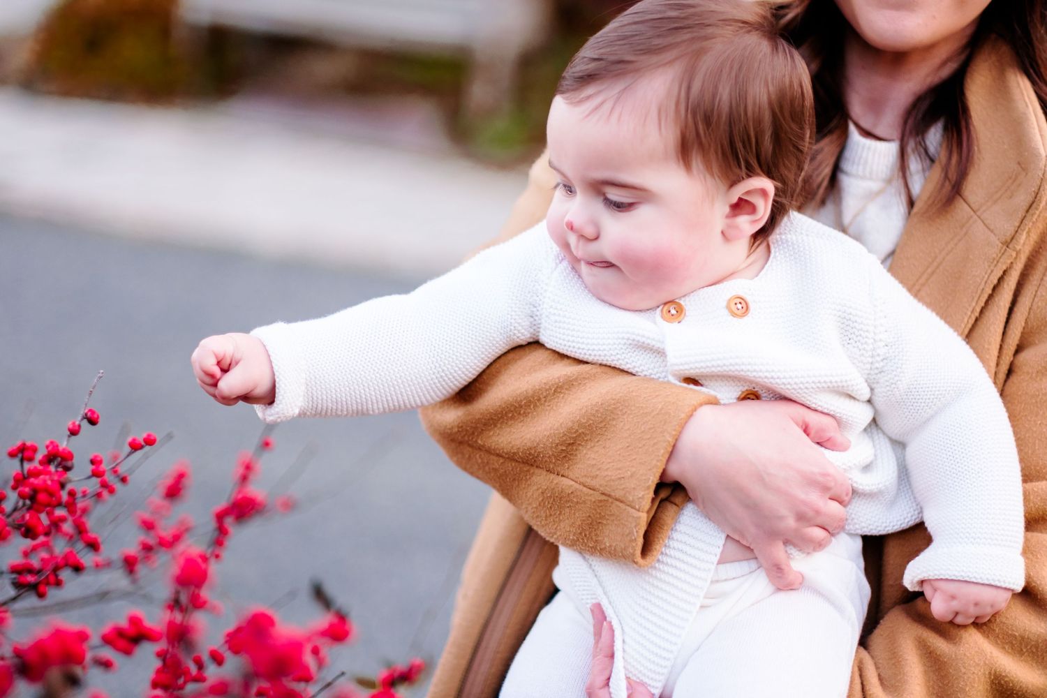 A baby in white outfit reaches toward red berries while being held by a woman in a camel coat outdoors.