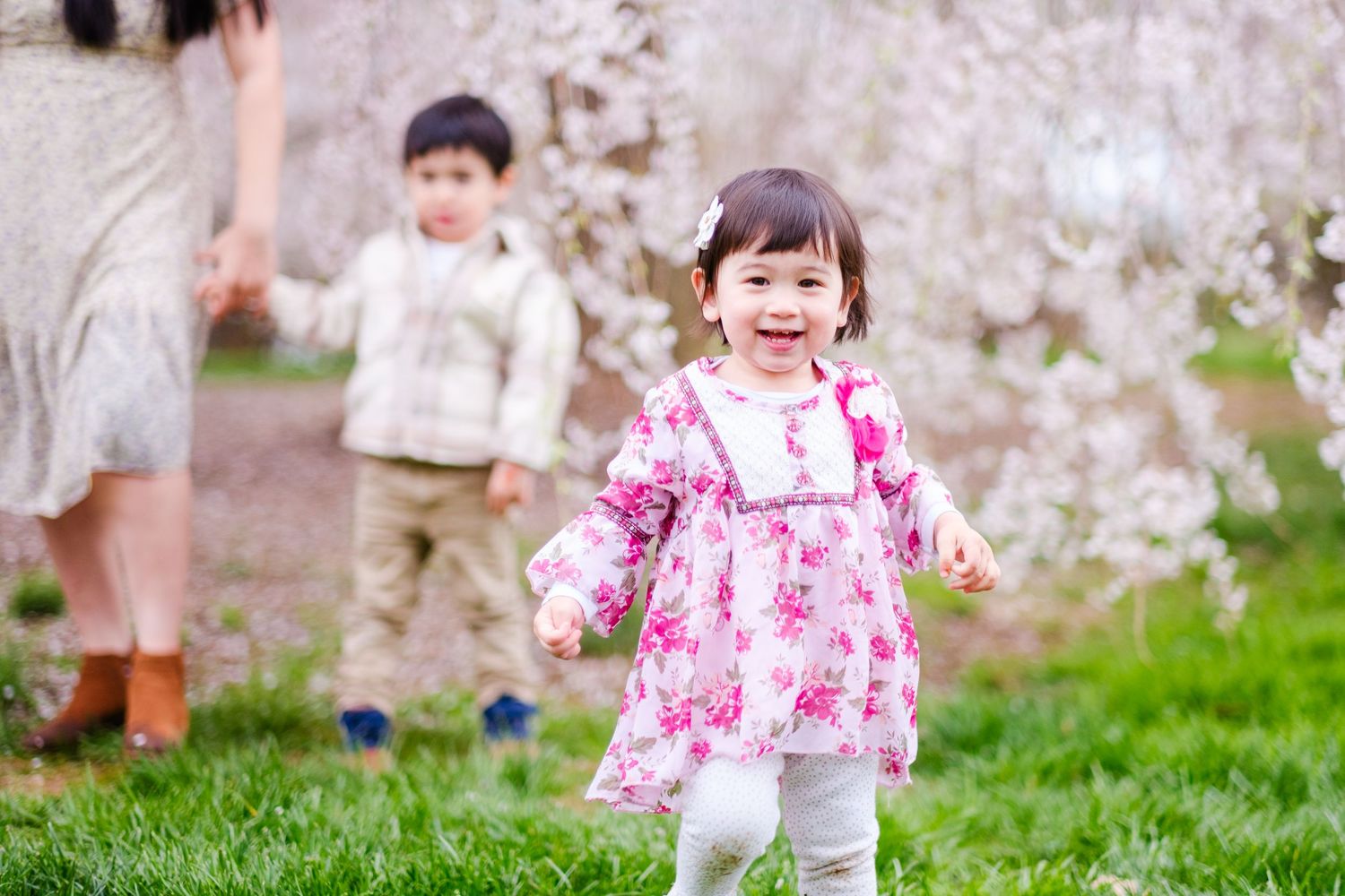 Child wearing pink floral dress plays outdoors among blooming cherry blossom trees in spring.