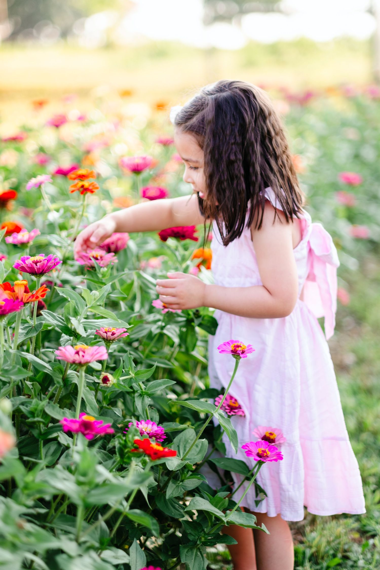 Young girl in pink dress picking colorful zinnia flowers in a vibrant summer garden field.