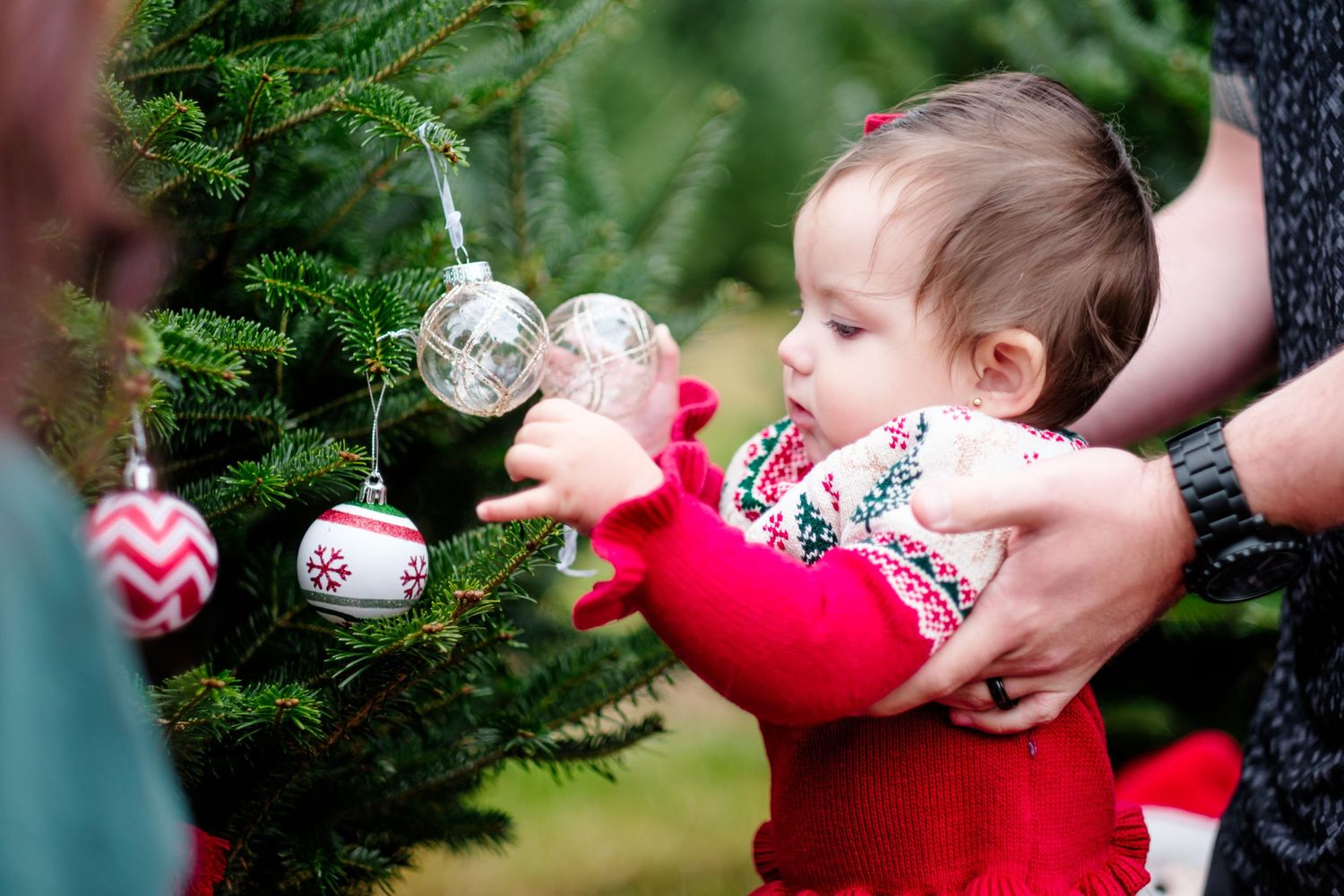 Baby in red sweater touching Christmas ornaments on a green tree, held by an adult during holiday festivities.