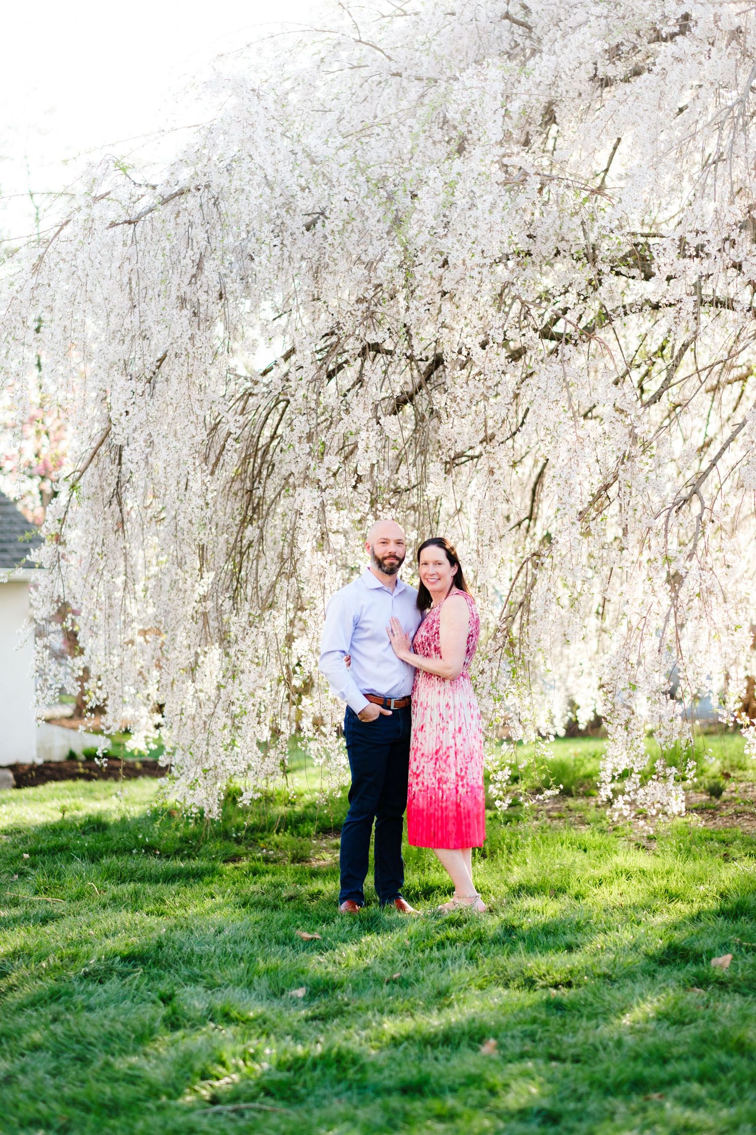Couple embracing under a blooming white weeping cherry tree on green grass in spring.