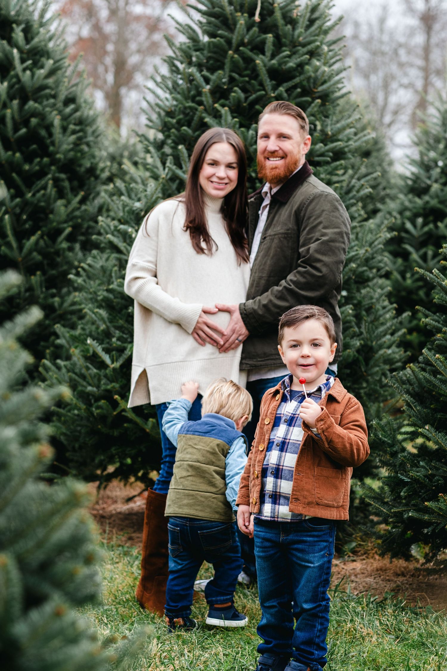 Family of four posing among Christmas trees at a tree farm, expecting mother in white sweater with red-bearded husband and two young boys.