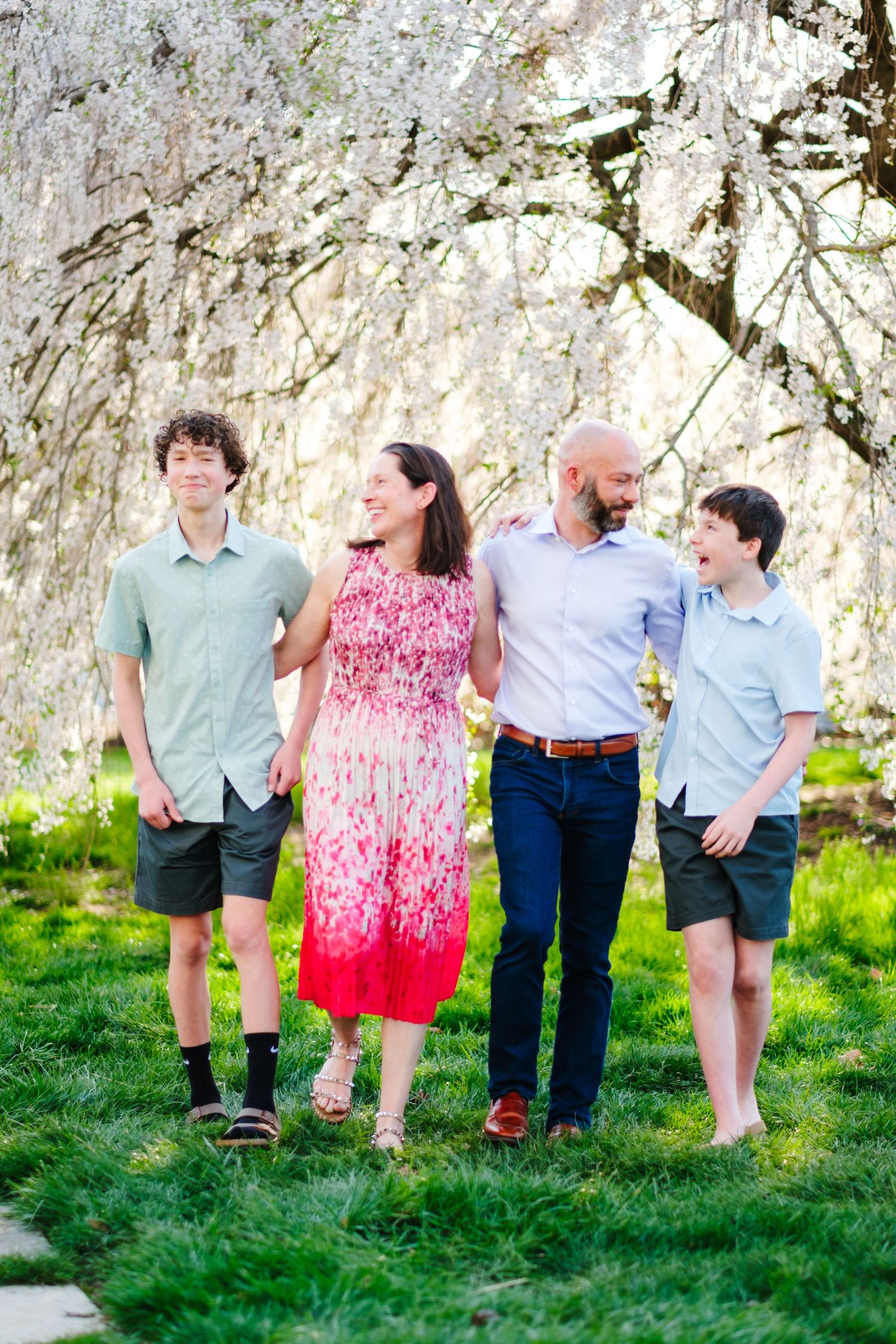 Family of four smiling and walking together under blooming white cherry blossom tree on green grass in spring.