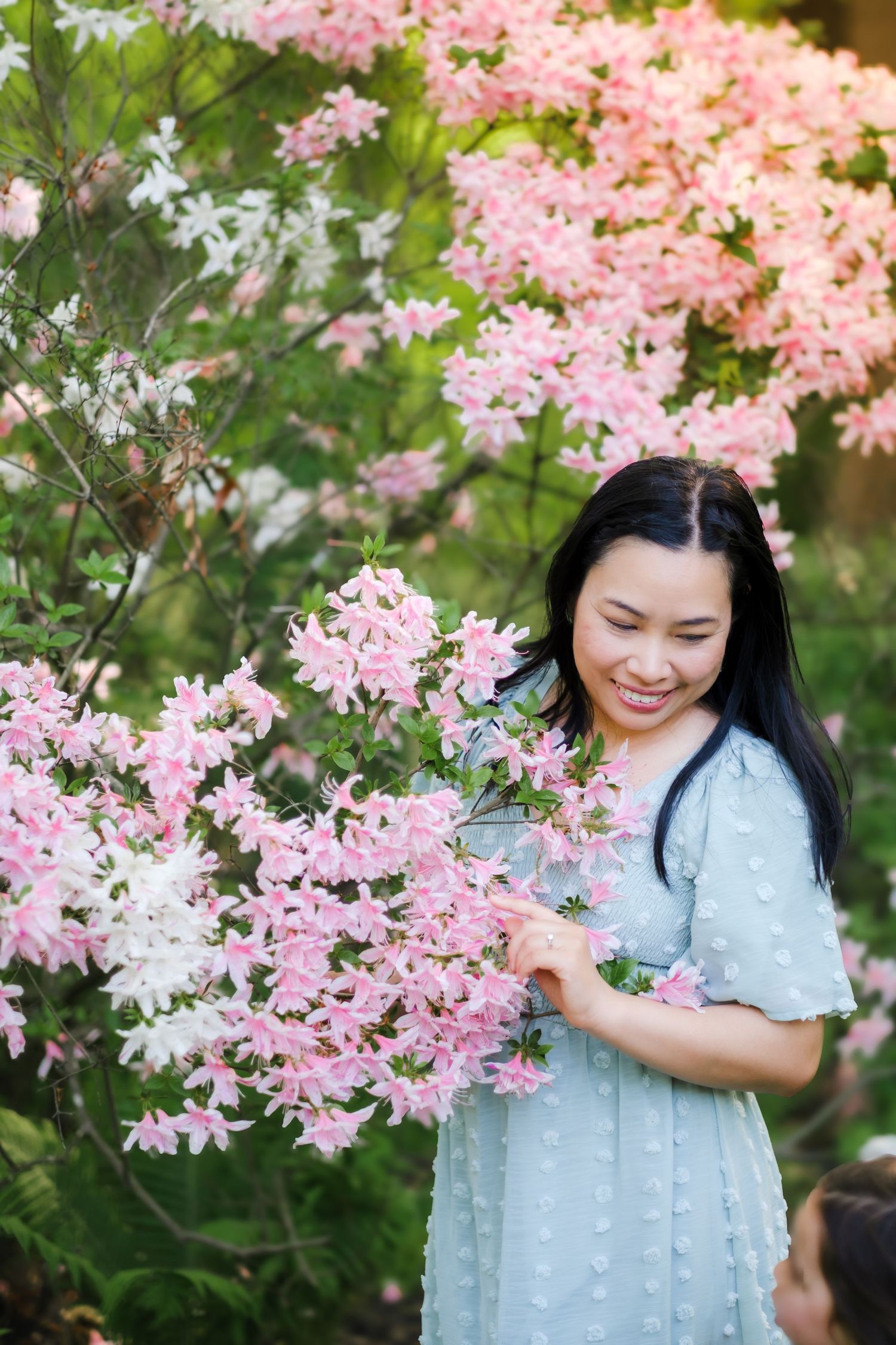 A person in a light blue dress stands among blooming pink cherry blossoms in a spring garden setting.