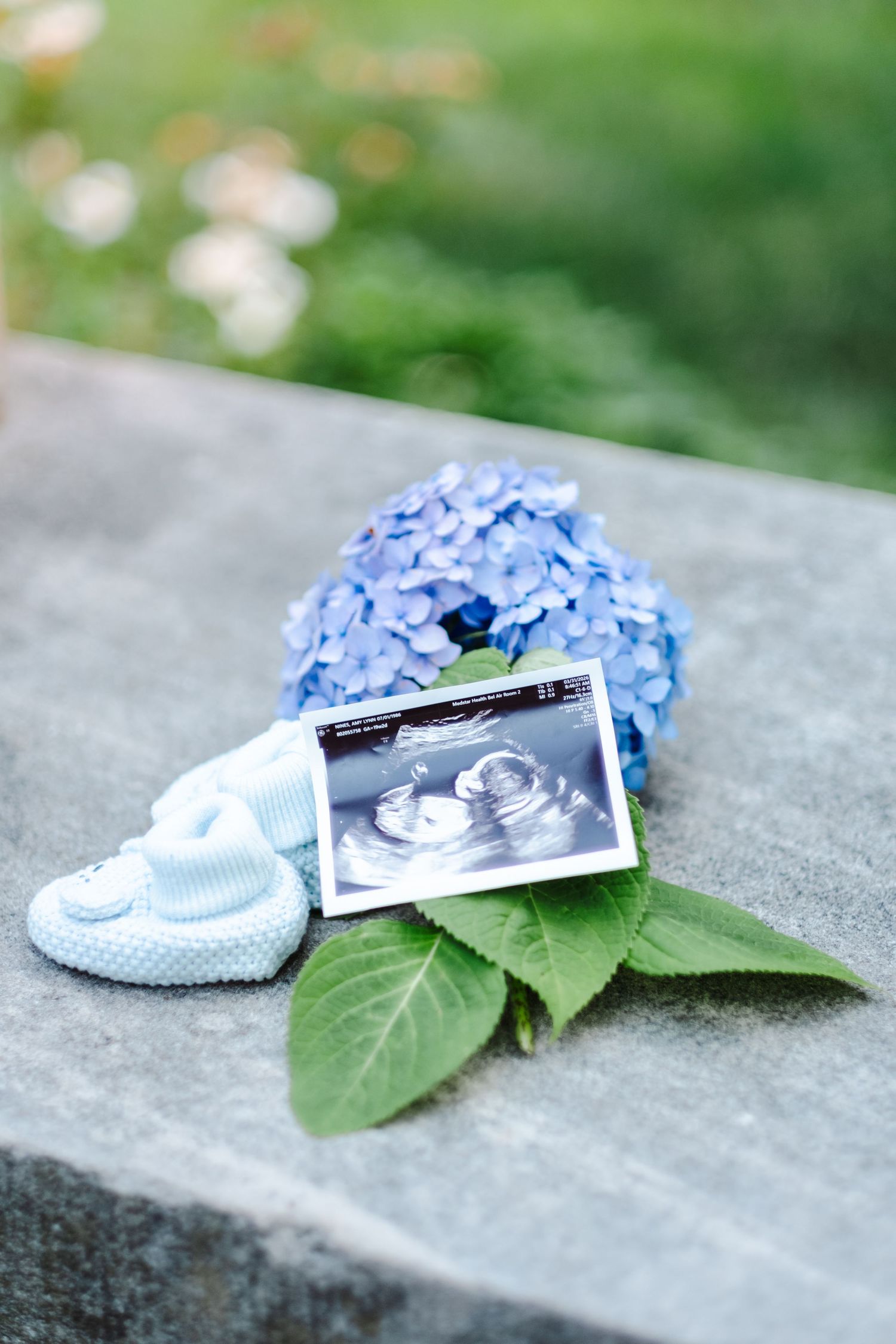 Blue baby booties and ultrasound photo resting on hydrangea flowers and green leaves on a stone surface outdoors.
