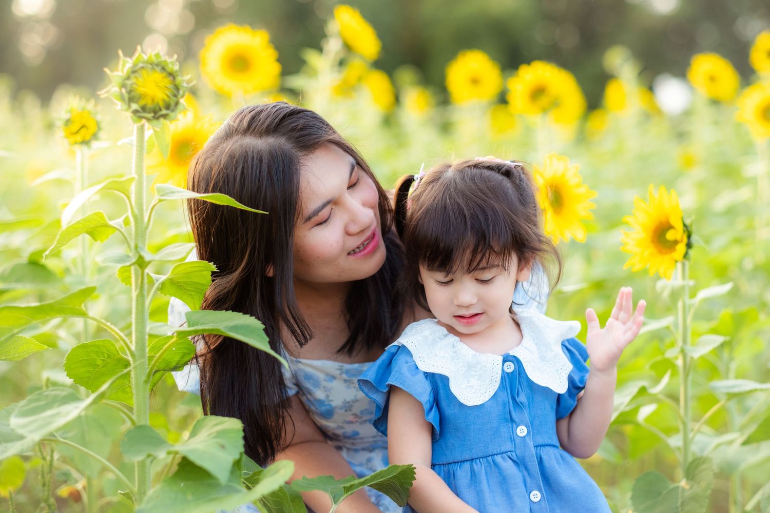 A mother and young daughter smile together in a vibrant sunflower field, girl wearing a blue dress.
