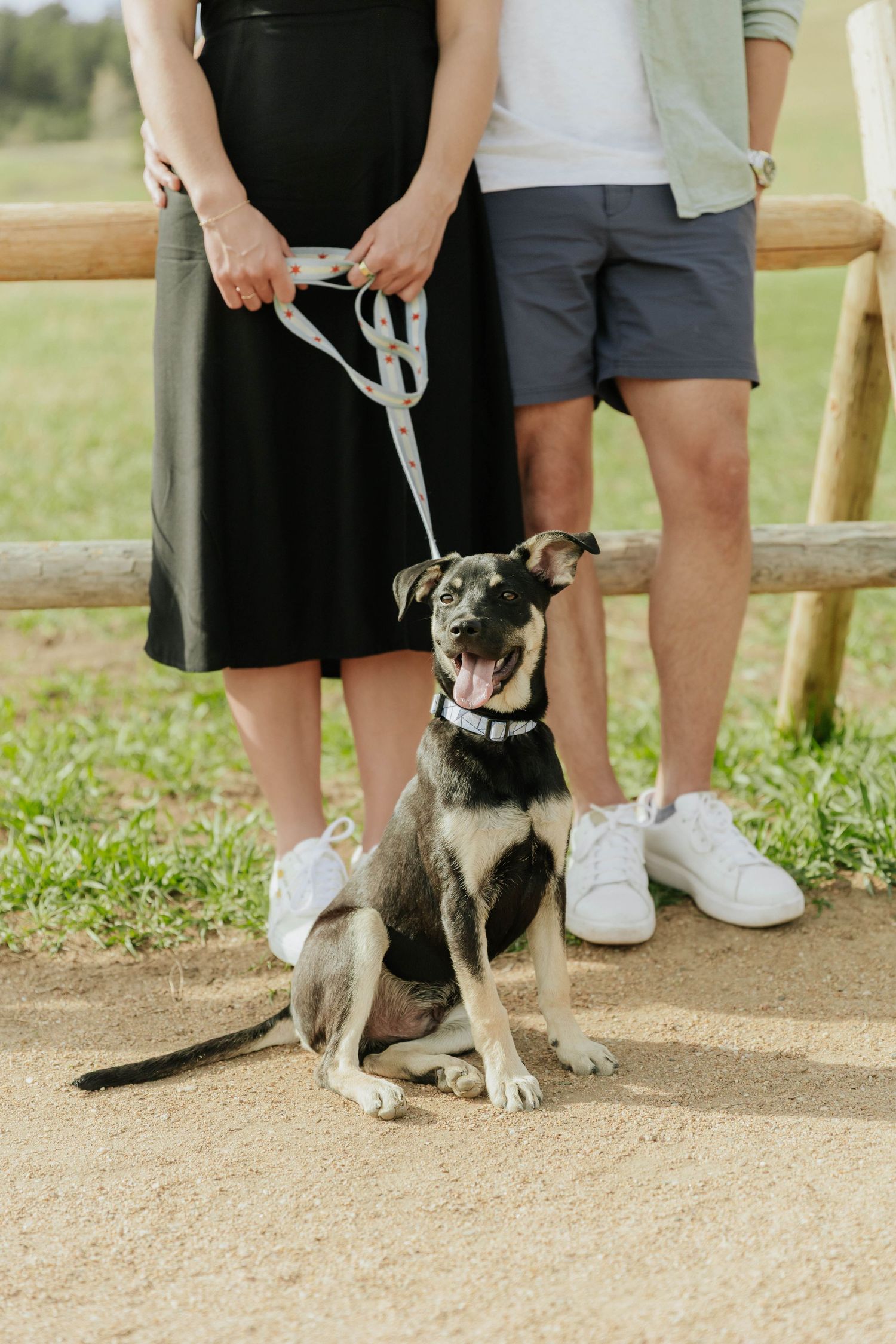 A small black and white dog sits on a dirt path next to people's legs wearing shorts and white sneakers.