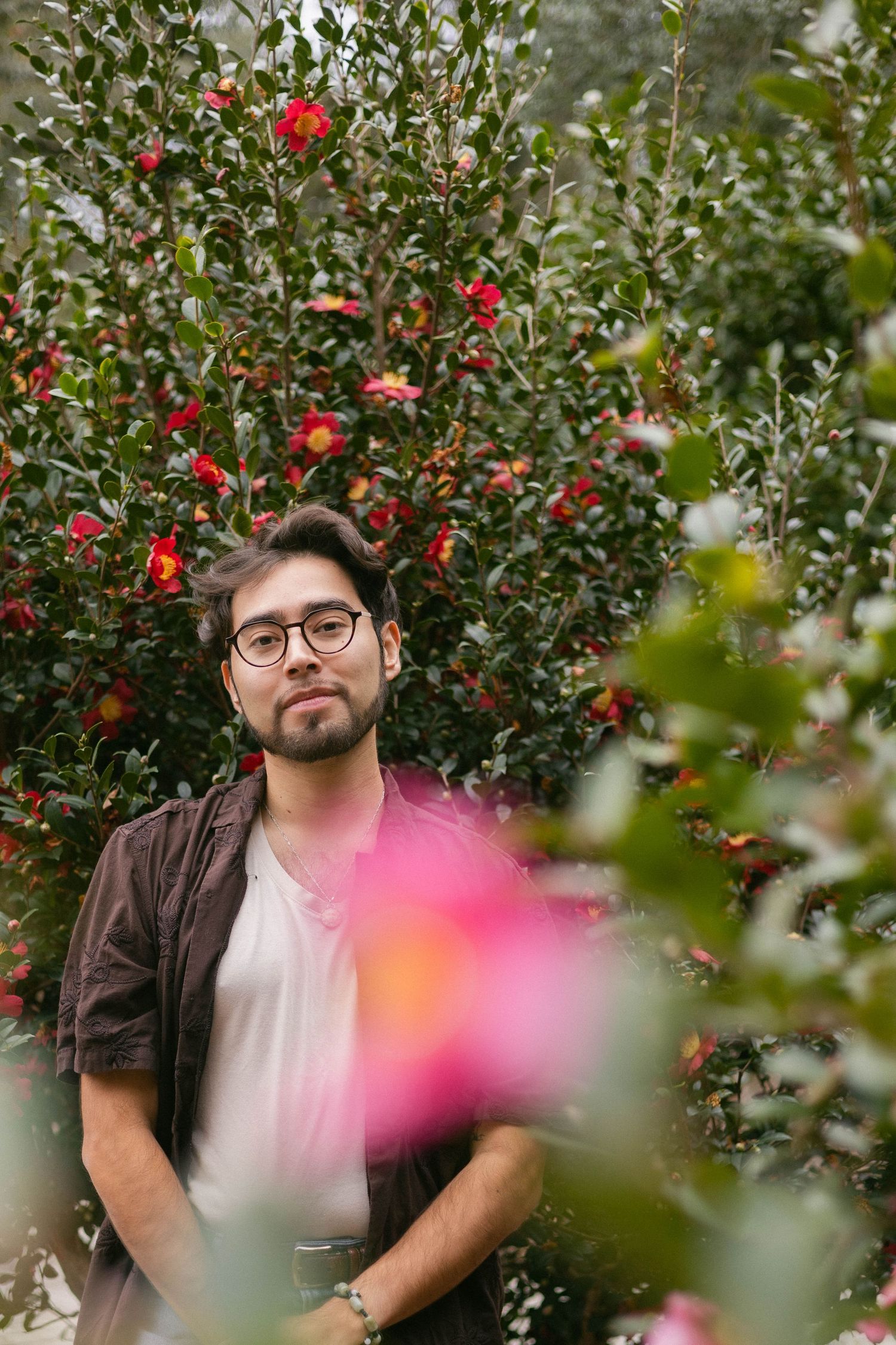 A person stands in front of a flowering red camellia bush in a garden setting.