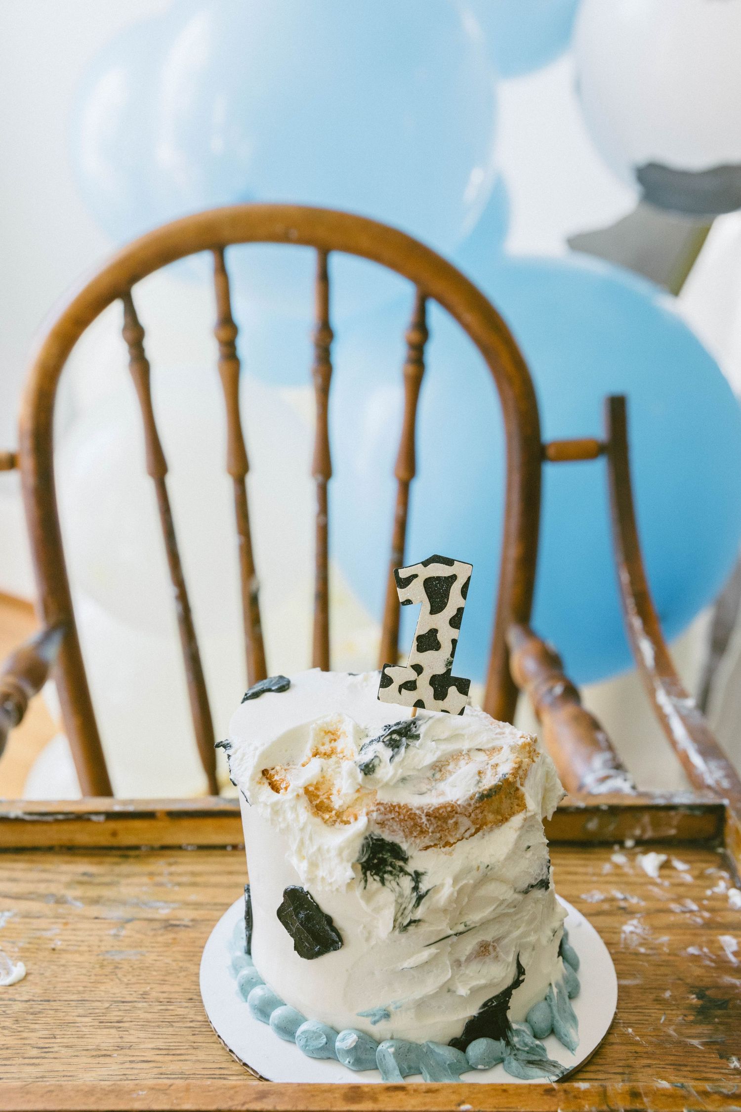 Smashed first birthday cake with cow print number one topper on wooden table with blue balloons and chair backdrop.