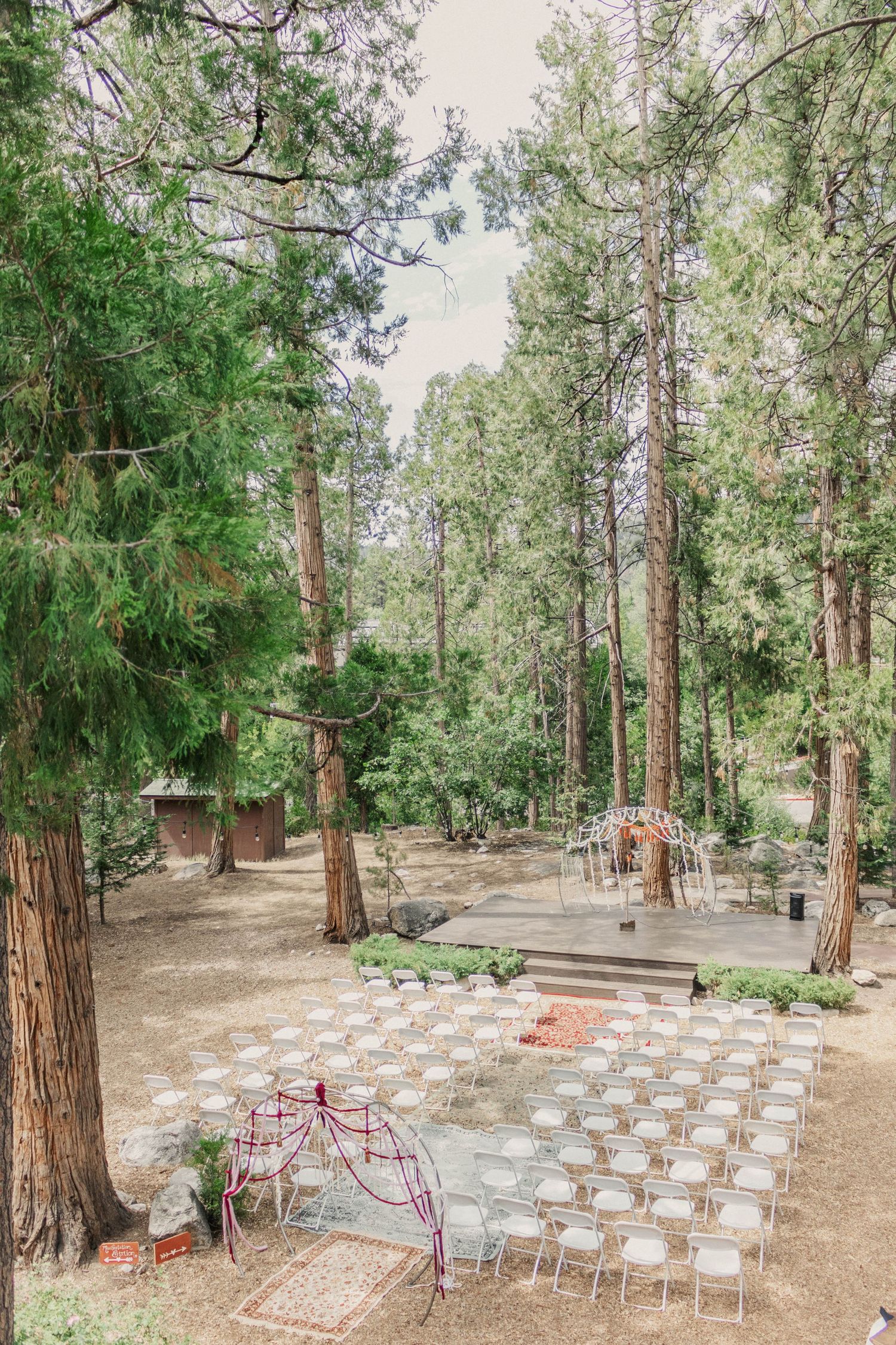 Rustic outdoor wedding ceremony setup with white chairs arranged in rows among tall pine trees in a forest setting.