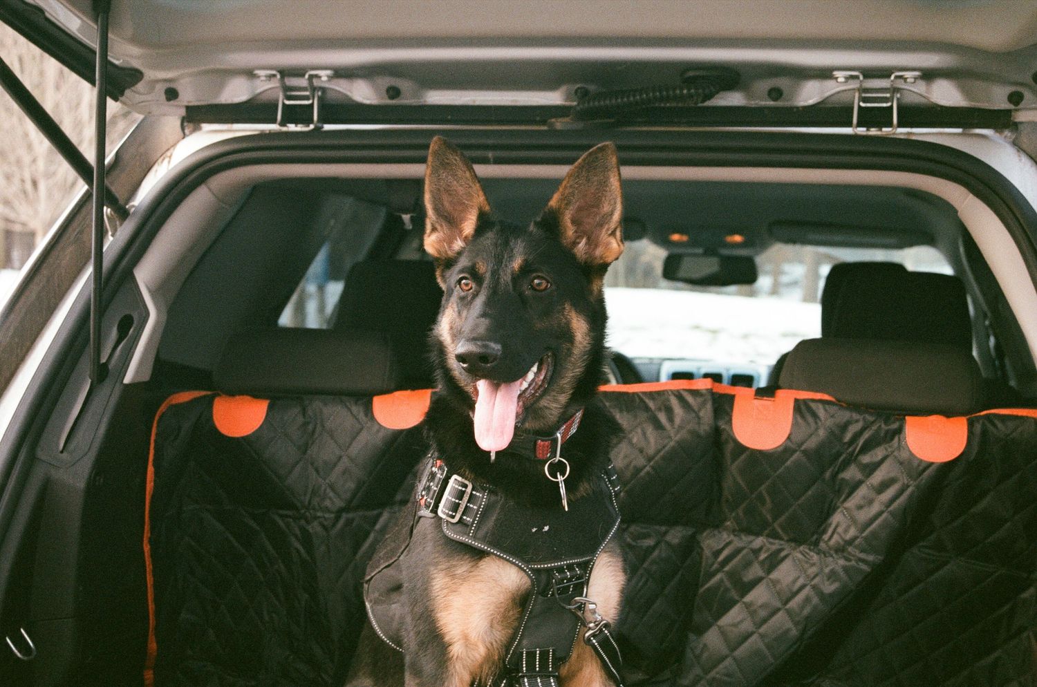 Lena in the back of the car