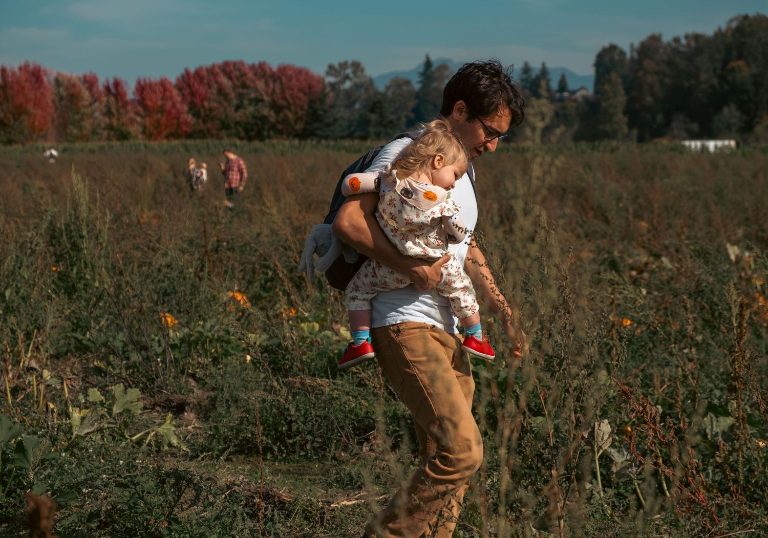 Child exploring pumpkin patch during autumn season.