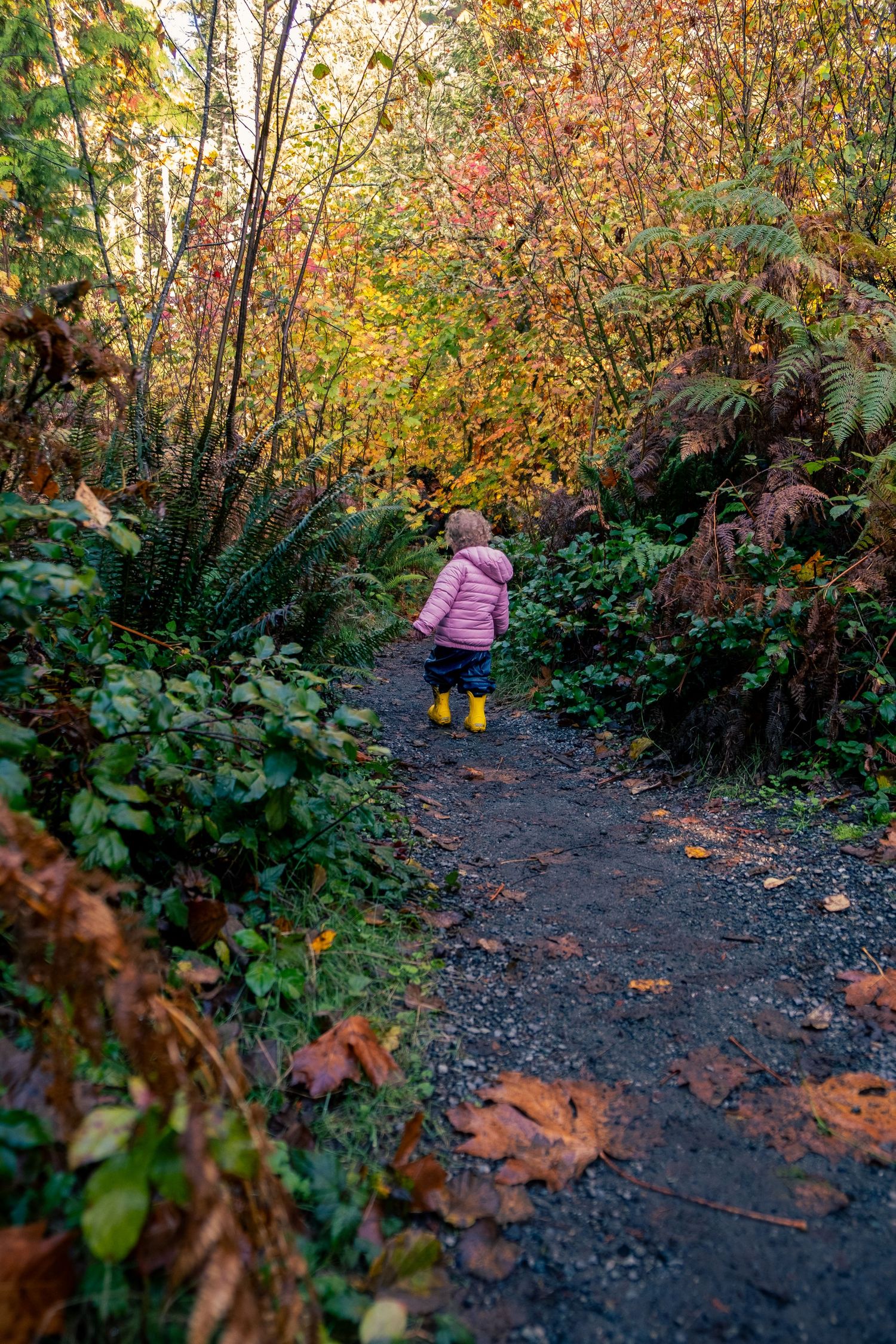 Child walking on dirt path through colorful autumn foliage.