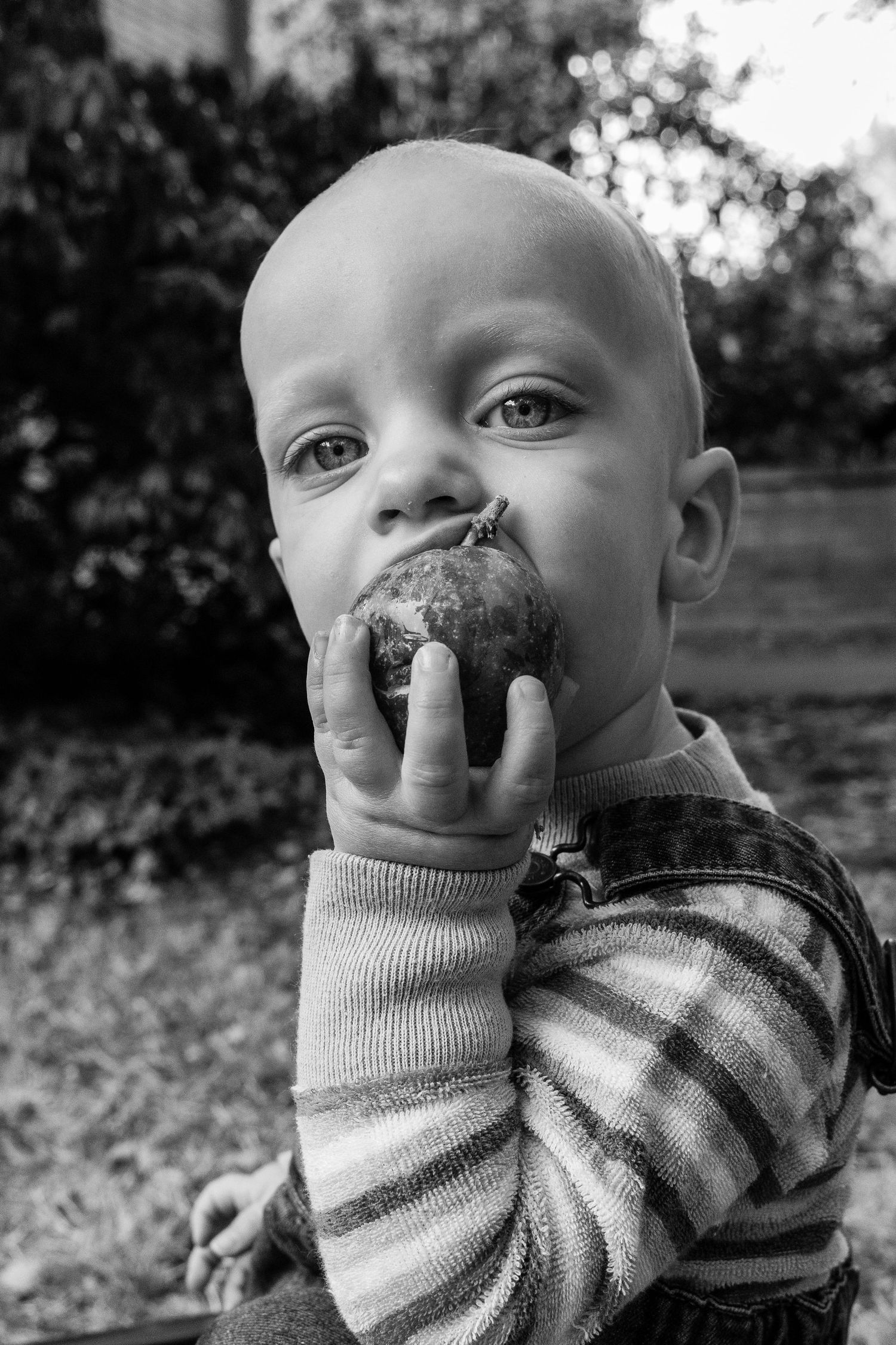 A series of black and white close-up shots showing a child touching their nose with curiosity.