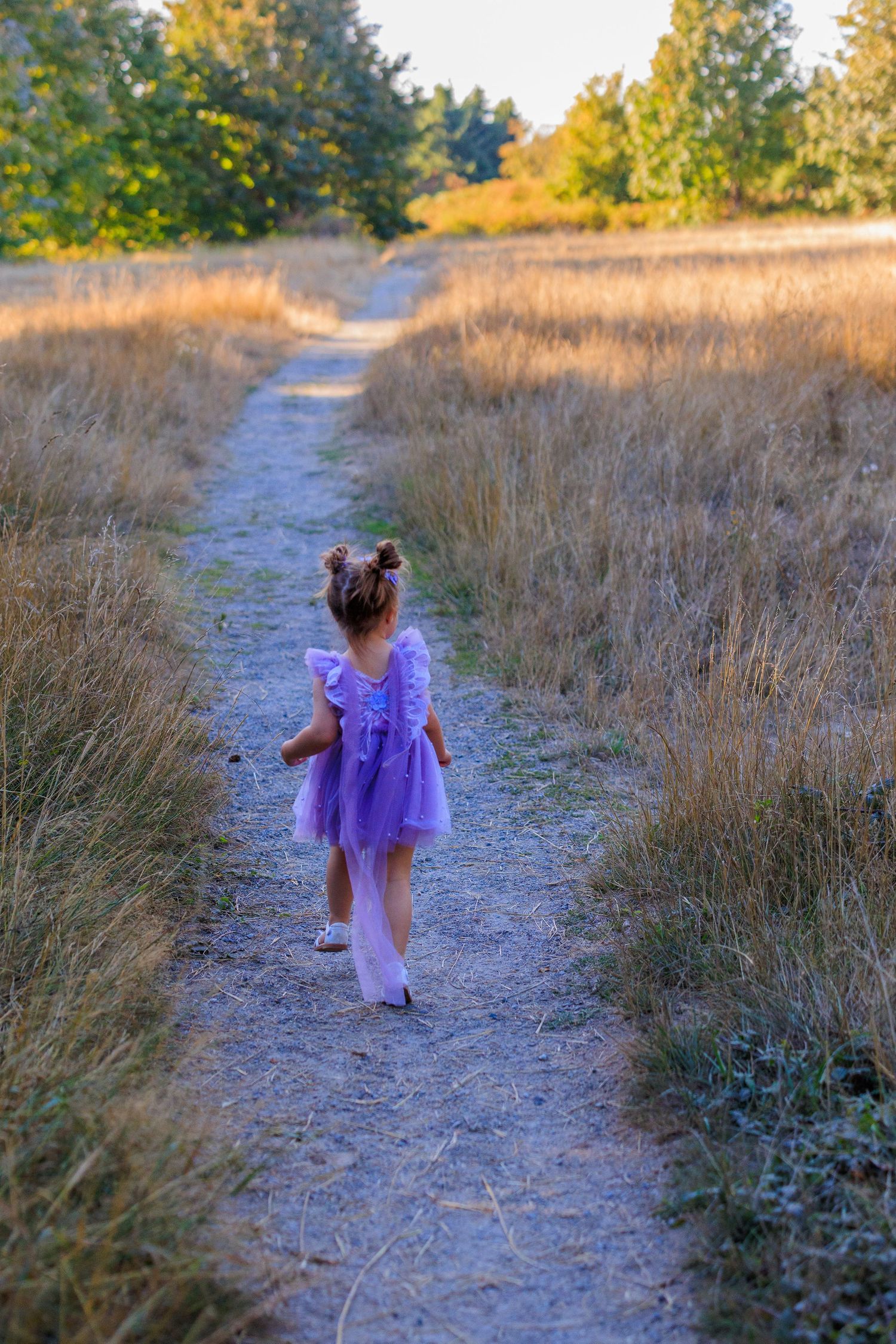 A figure in a purple dress walking down a winding dirt path through tall grass.