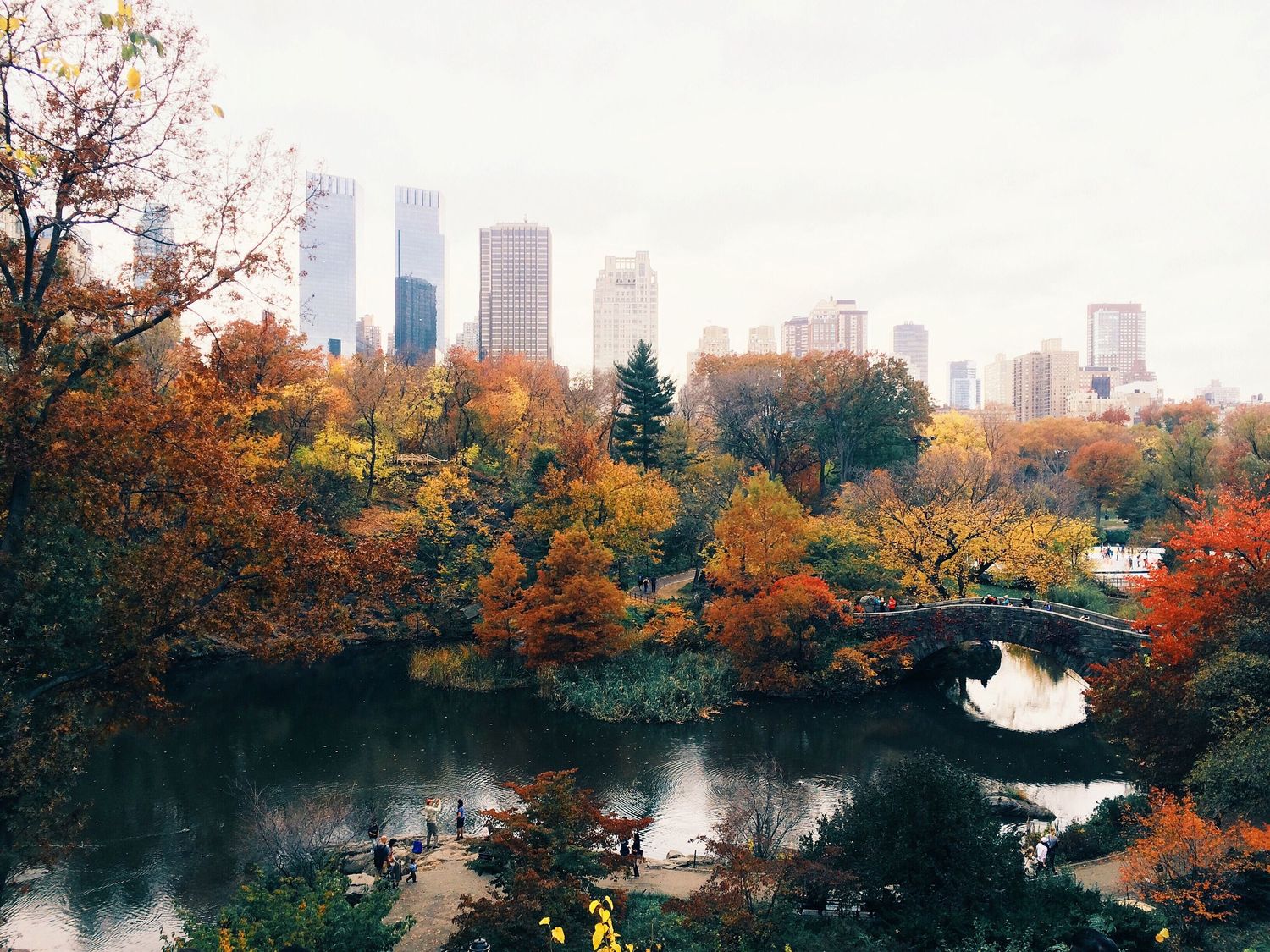 Panoramic view of a city skyline with autumn trees and a lake in Central Park.