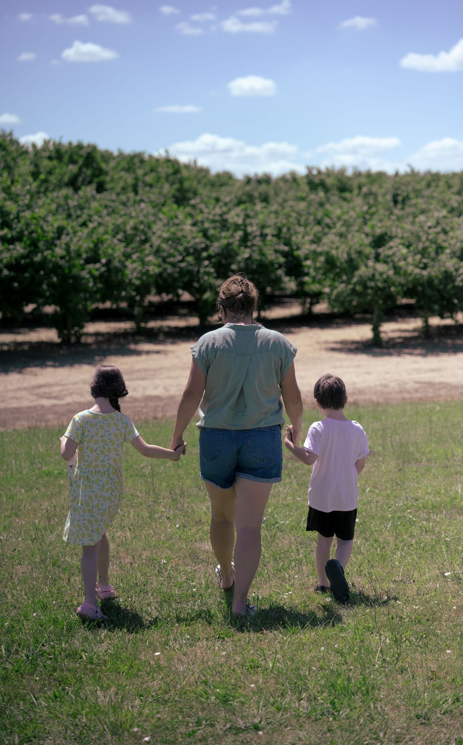 Mother holding hands with two young children walking toward a lush green orchard.