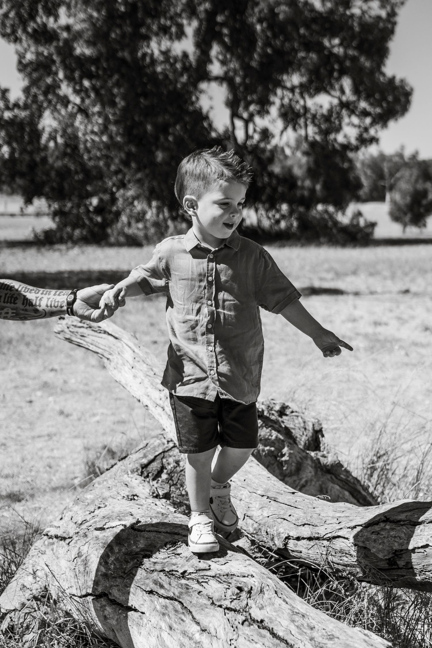Boy climbing tree trunk