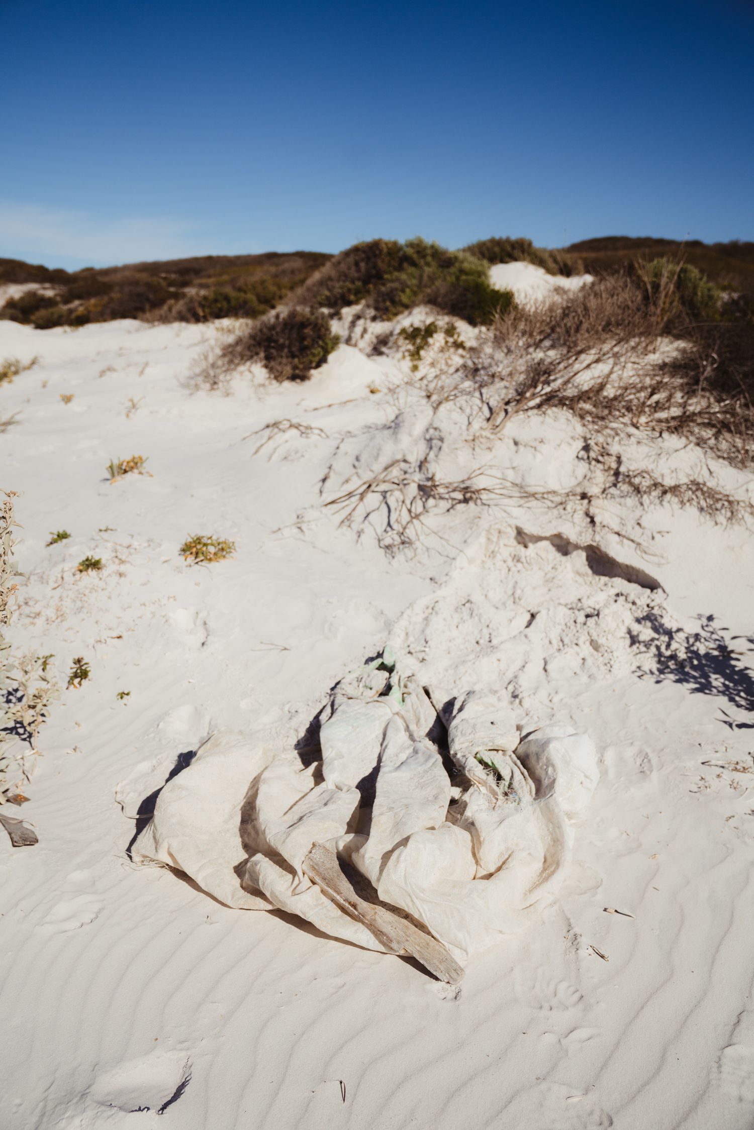 Bremer Bay beach clean up - large mesh rubbish