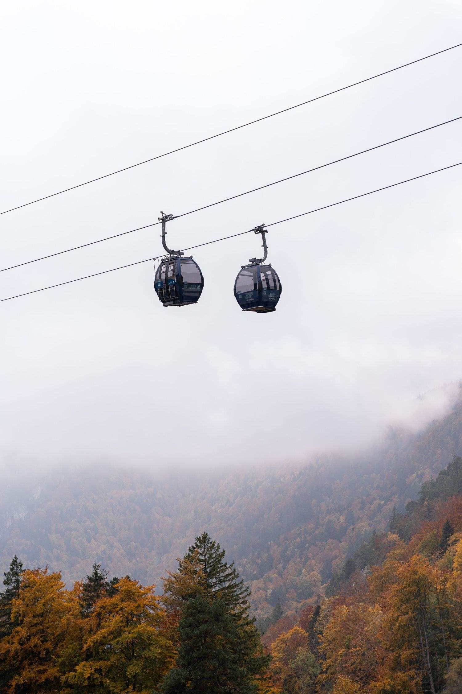 Cable car gondolas travel through misty autumn mountains with colorful fall foliage and evergreen trees visible below.