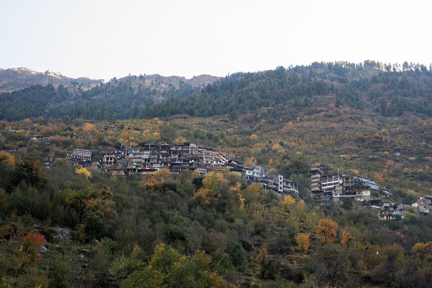 Traditional hillside village houses nestled in autumn mountains with scattered foliage.