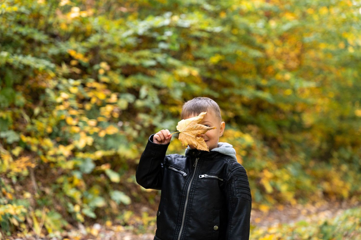 A person holds up autumn leaves while standing in a forest with golden yellow foliage in the background.