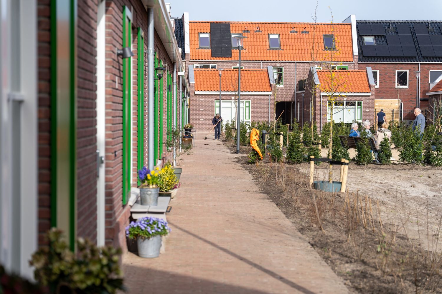A residential neighborhood street with brick houses  - Noelle Schmeltz Fotografie