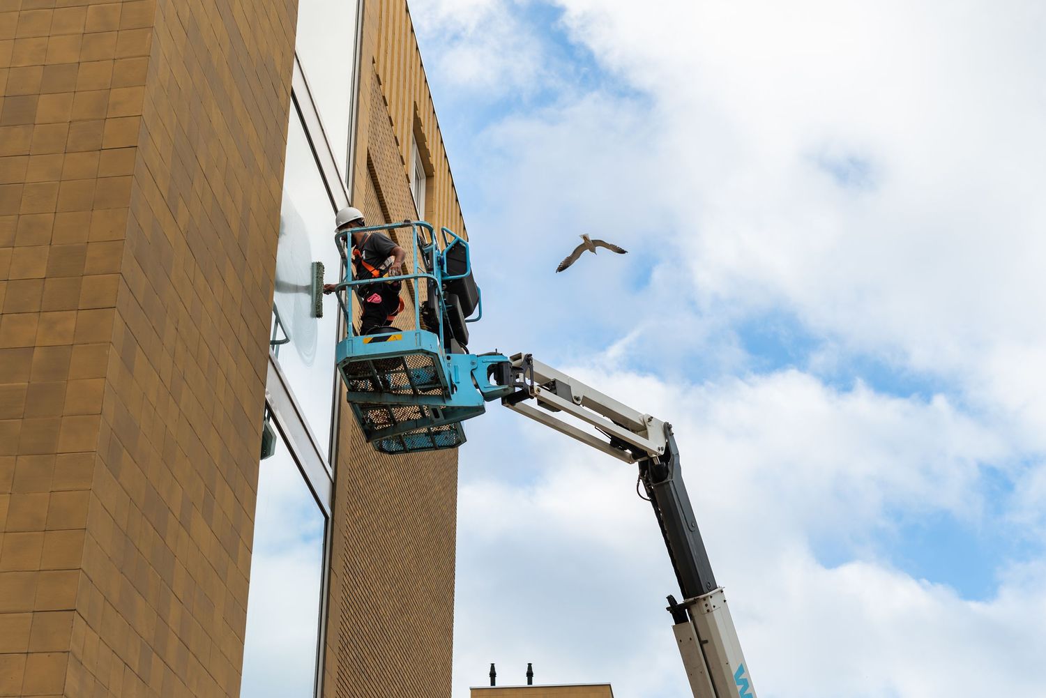 Hensen Cleaning - Zakelijk - Noelle Schmeltz Fotografie