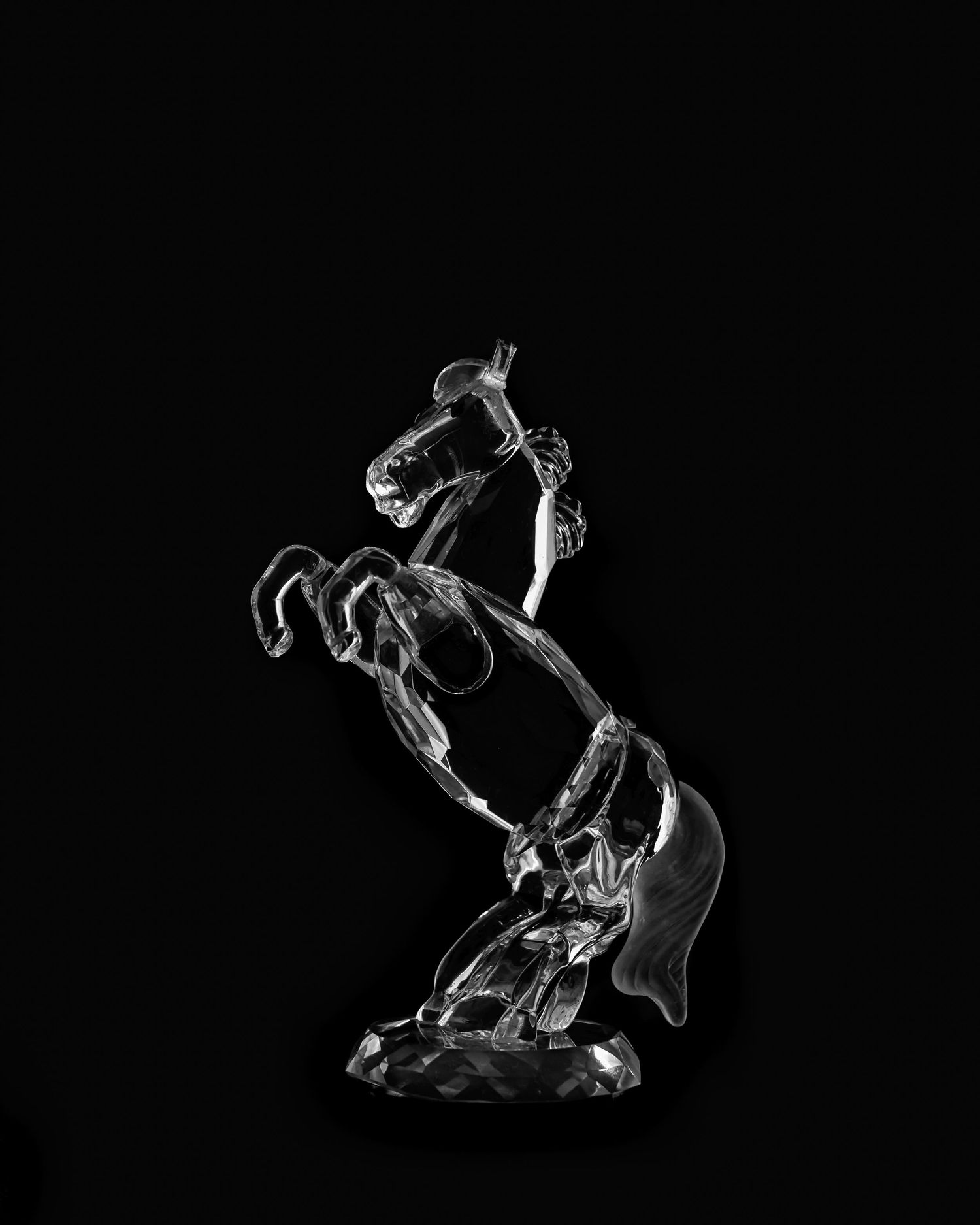 Black and white silhouette illustrations of musicians performing with instruments on stage.