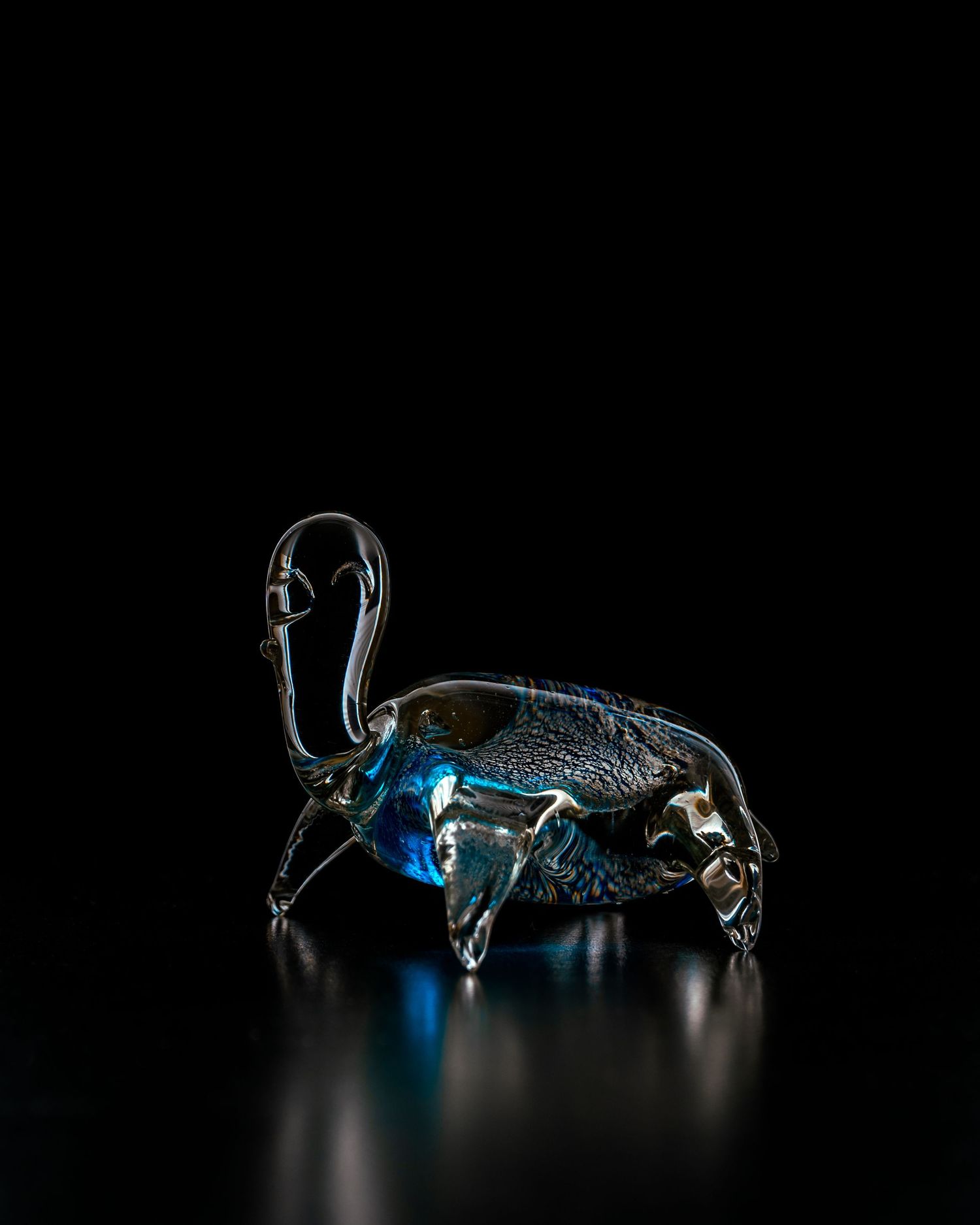 Artistic close-up shots of blue glowing insects against a dark background.