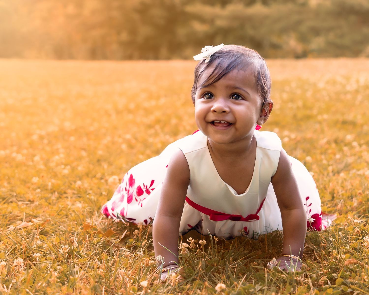 A young child in a white dress with red accents crawls on golden grass during sunset.