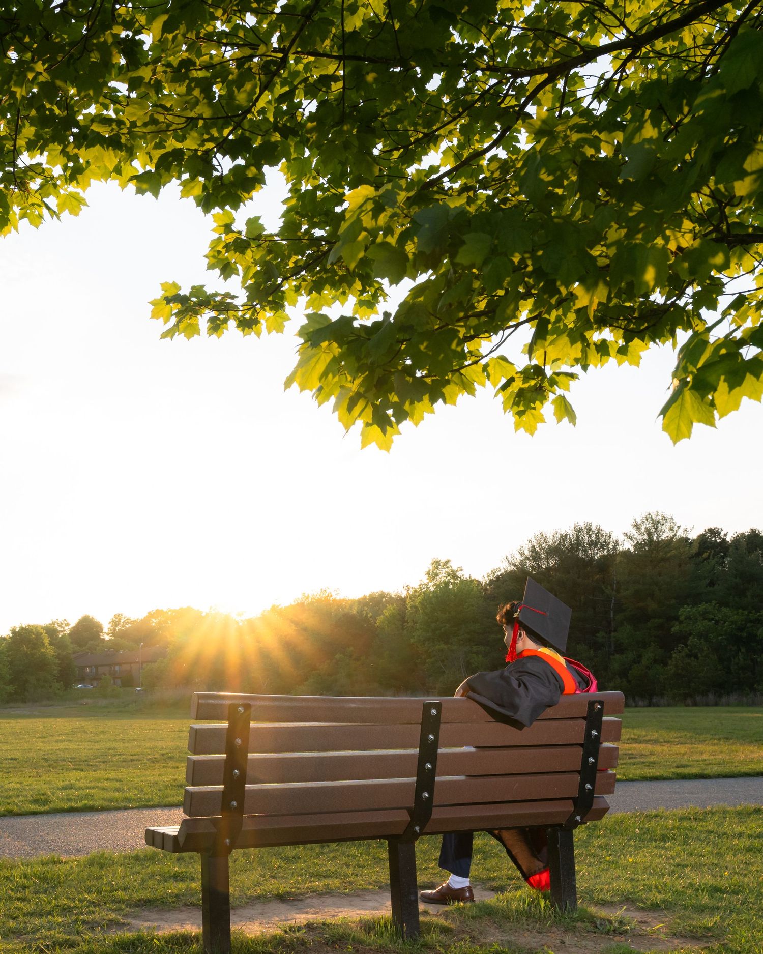 Silhouette of a graduate sitting on a wooden bench during golden hour sunset.