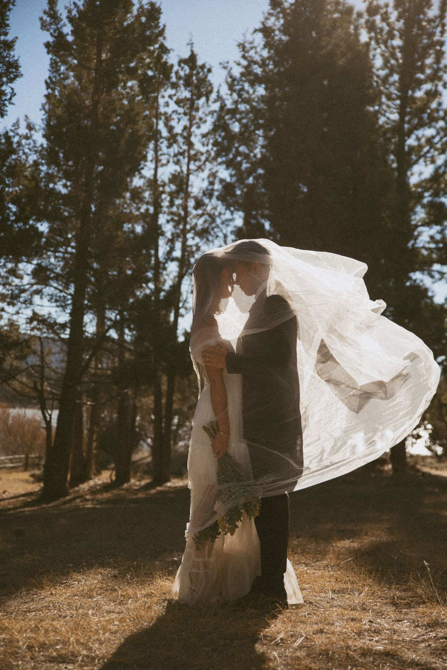 Bride and groom share romantic kiss under flowing veil among tall pine trees in golden sunlight.