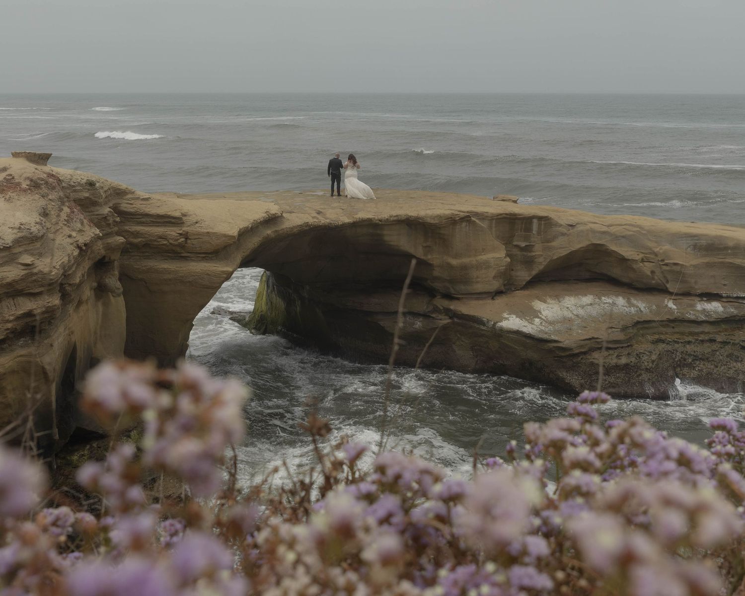 Coastal cliffs with purple wildflowers in the foreground and ocean waves crashing below.