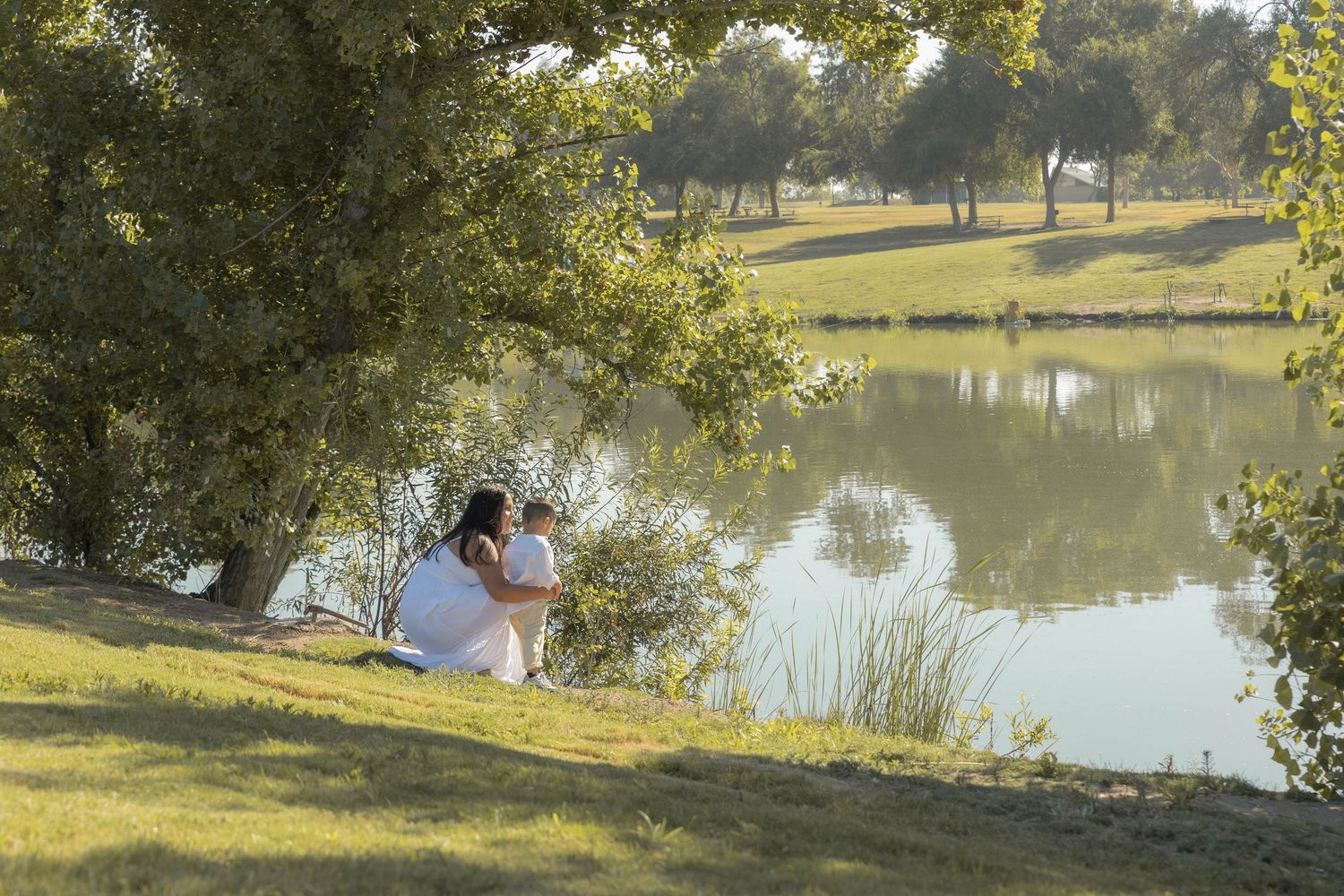 A serene lakeside scene with trees and grass along the shoreline.