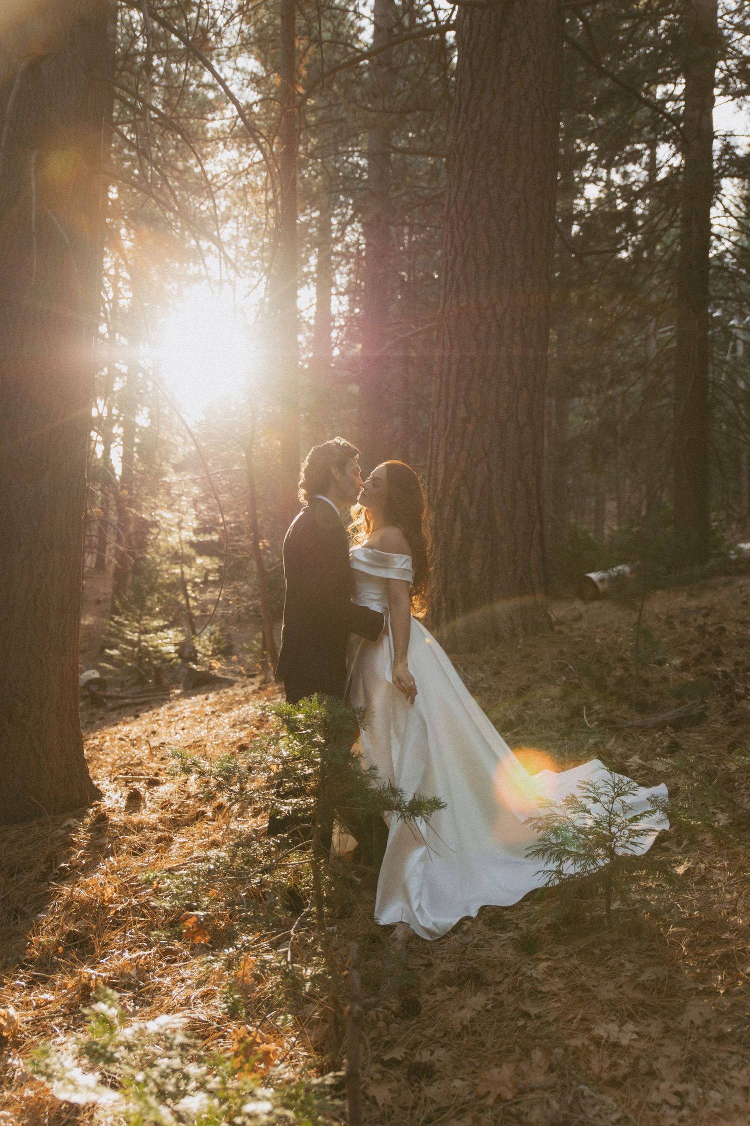Bride and groom embrace in sunlit forest, golden light streaming through tall pine trees during outdoor wedding ceremony.