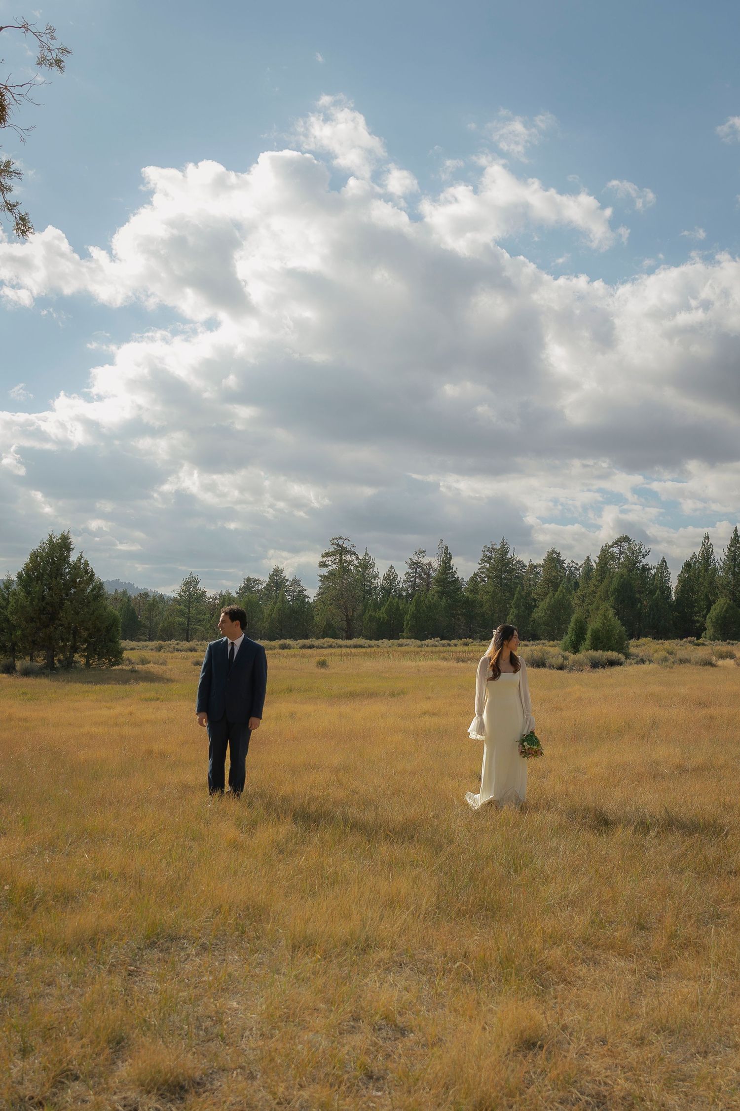 A couple stands together in a vast golden prairie field under a bright blue sky with white puffy clouds.