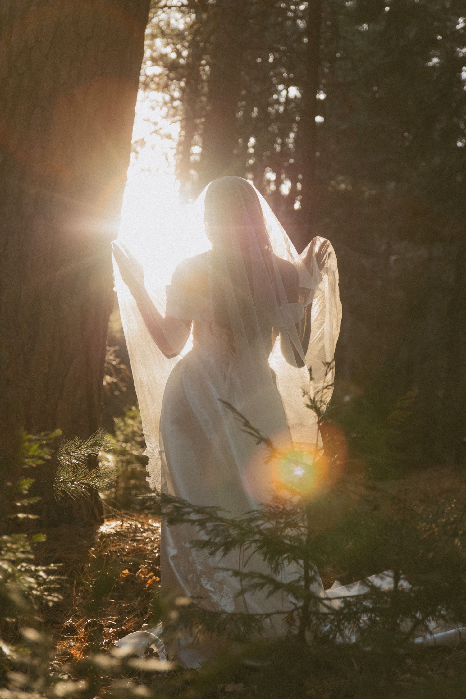 Bride in white gown and veil standing in sunlit forest with golden light rays filtering through trees.
