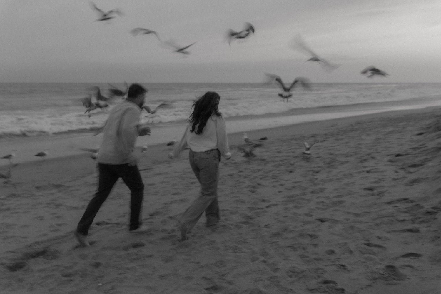 Silhouettes of people playing with seagulls on a beach in black and white.
