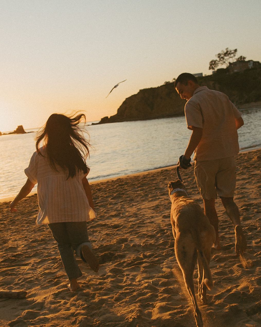 Couple and golden dog running on sandy beach at sunset with rocky coastline in background.