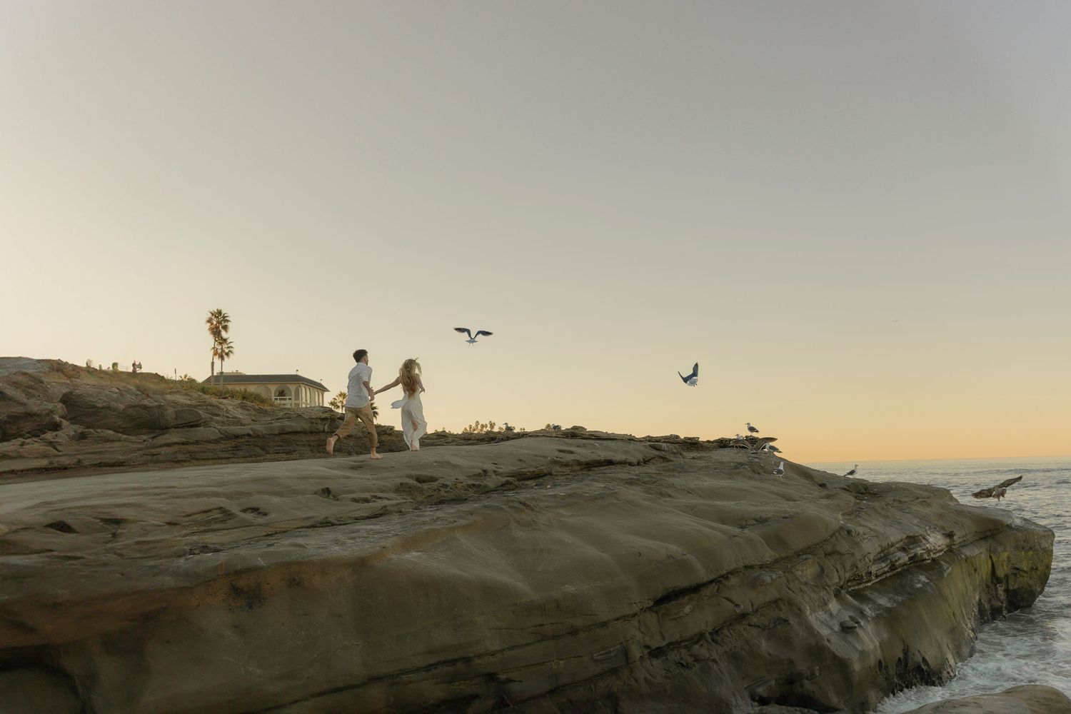 A scenic coastal landscape at sunset with cliffs overlooking the ocean and birds flying in the golden sky.