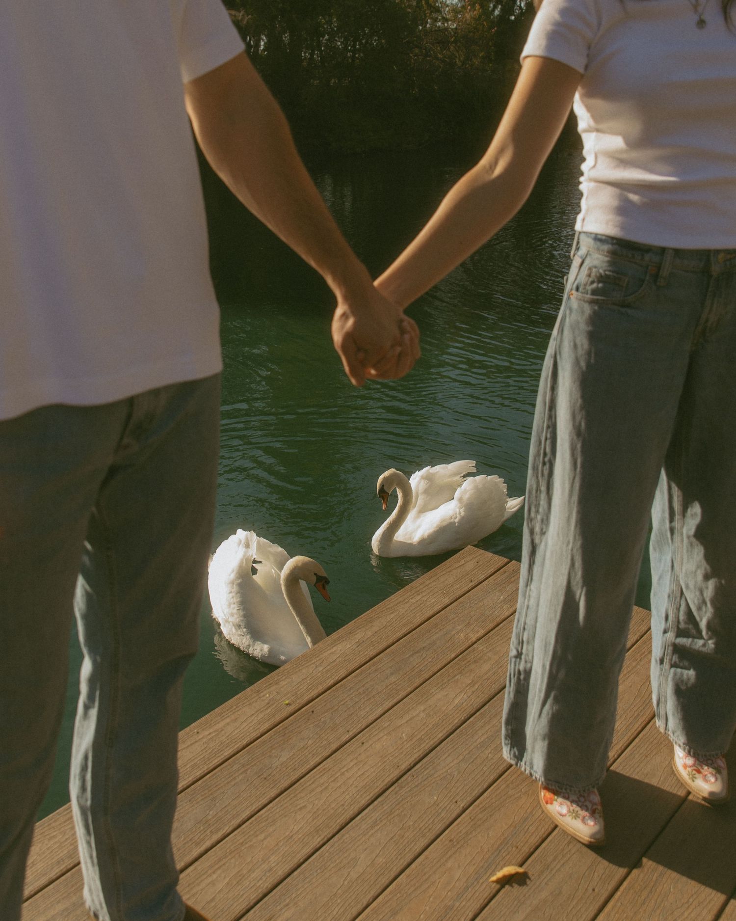 Couple holding hands on a wooden dock beside a serene green lake with two white swans swimming nearby.