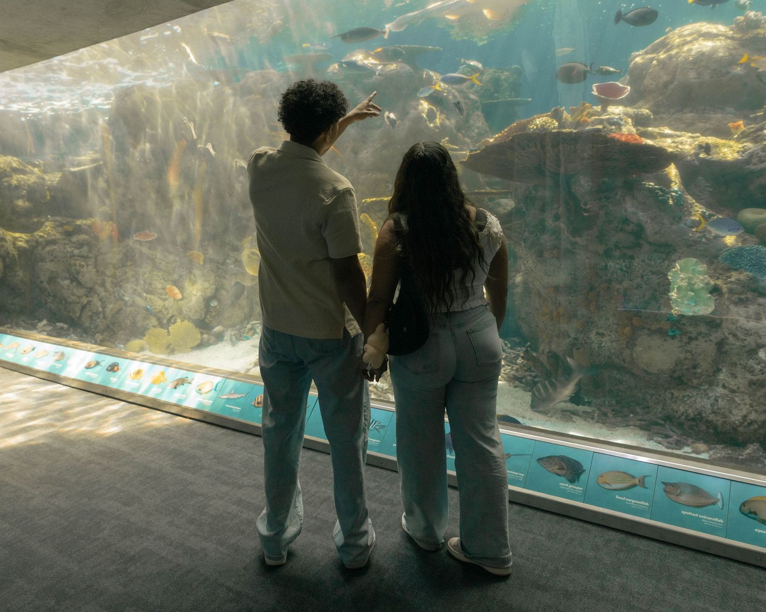 Silhouettes of people viewing fish through a large aquarium window.