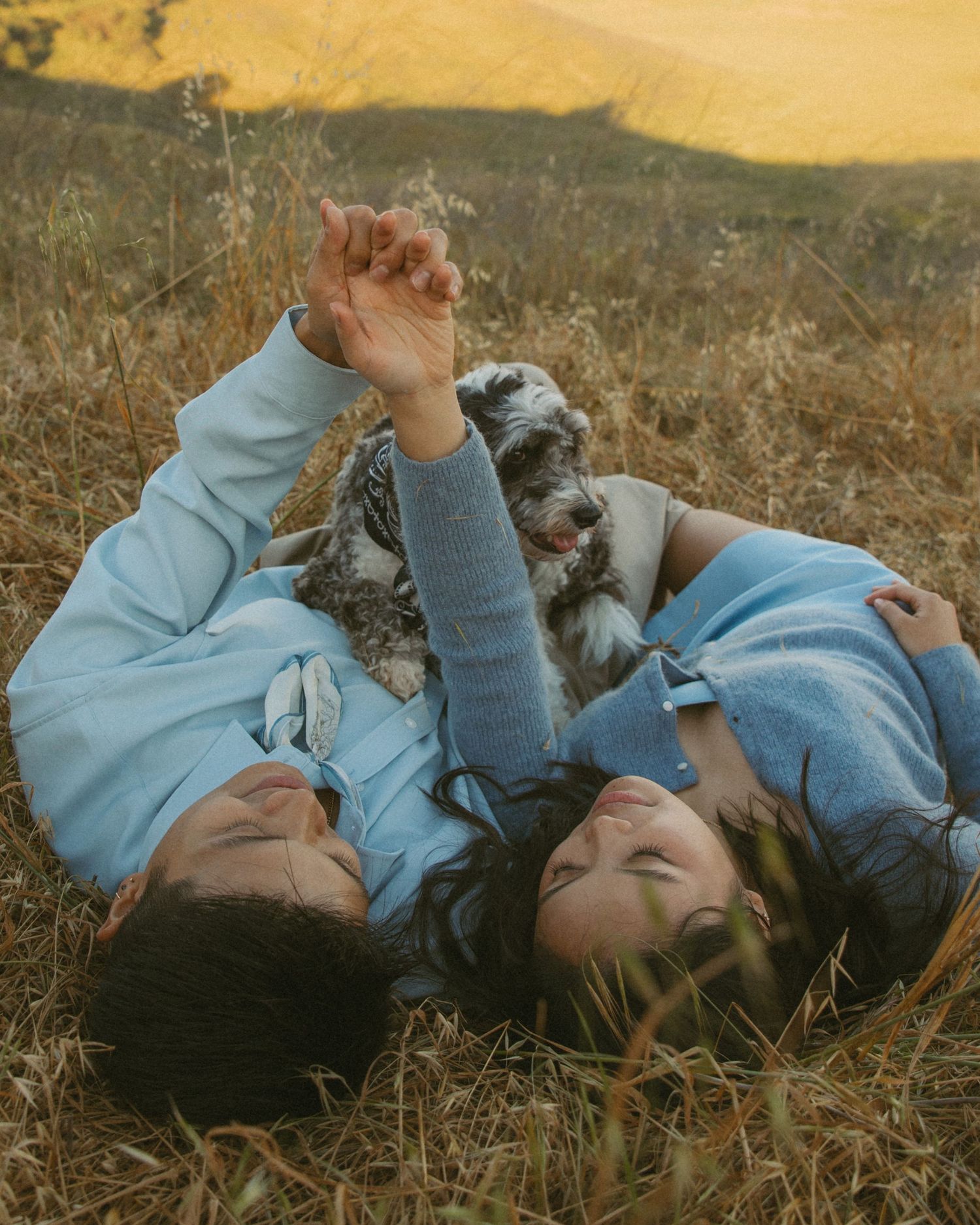 Two people in blue outfits lying in a golden field, holding hands and playing with a small fluffy dog.