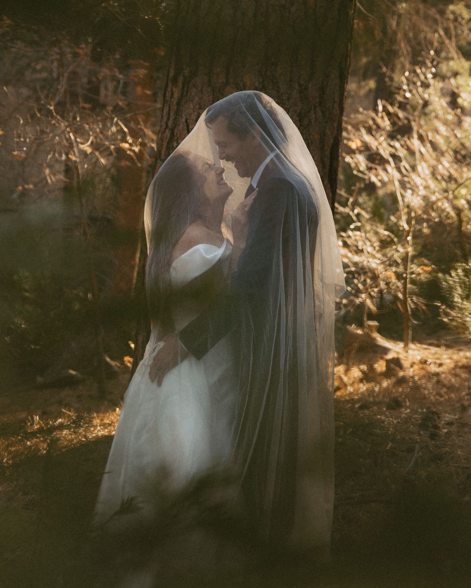 Bride and groom sharing an intimate moment under a flowing veil in a sunlit forest setting.